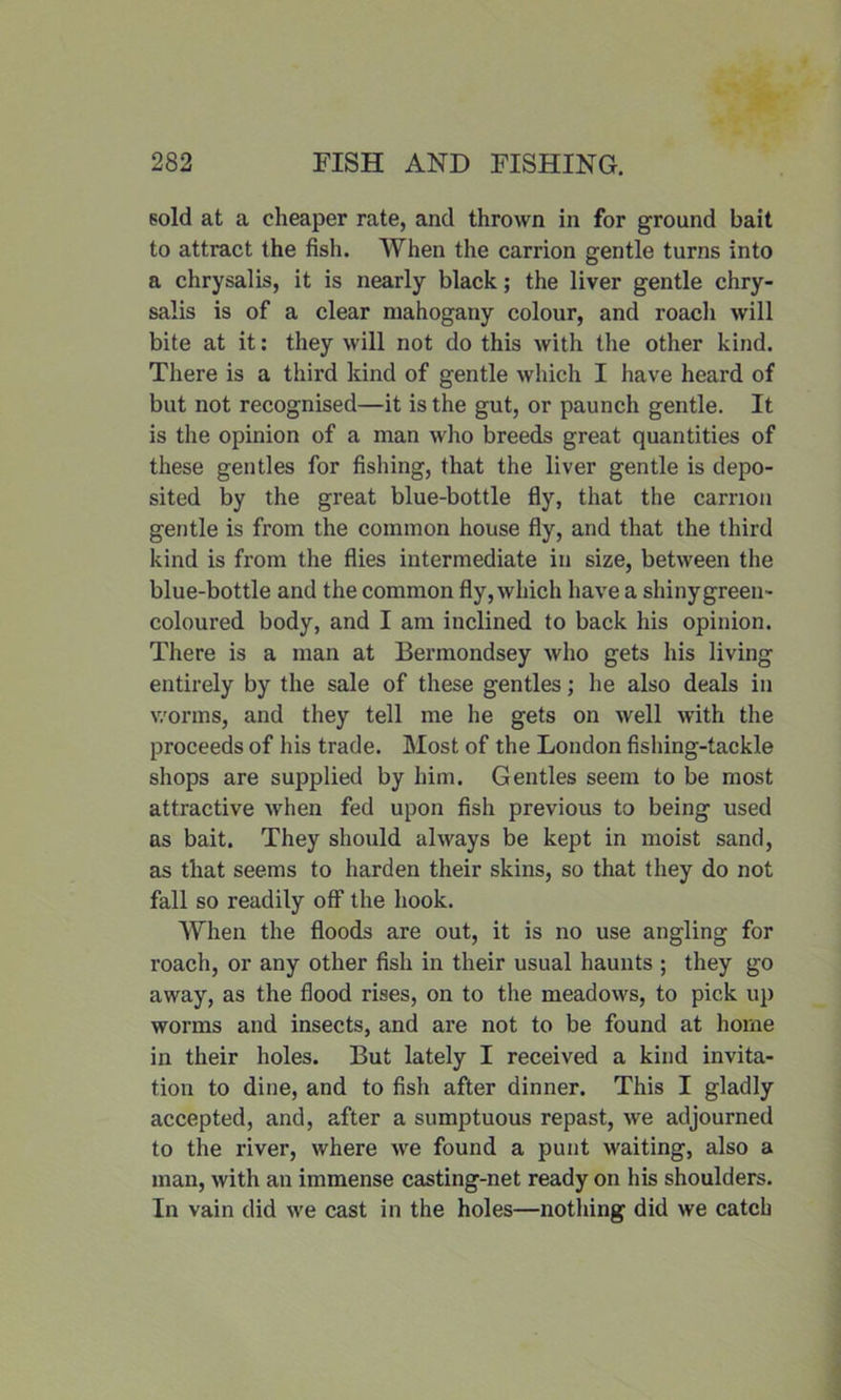 sold at a cheaper rate, and thrown in for ground bait to attract the fish. When the carrion gentle turns into a chrysalis, it is nearly black; the liver gentle chry- salis is of a clear mahogany colour, and roach will bite at it: they will not do this with the other kind. There is a third kind of gentle which I have heard of but not recognised—it is the gut, or paunch gentle. It is the opinion of a man who breeds great quantities of these gentles for fishing, that the liver gentle is depo- sited by the great blue-bottle fly, that the carrion gentle is from the common house fly, and that the third kind is from the flies intermediate in size, between the blue-bottle and the common fly, which have a shiny green- coloured body, and I am inclined to back his opinion. There is a man at Bermondsey who gets his living entirely by the sale of these gentles; he also deals in worms, and they tell me he gets on well with the proceeds of his trade. Most of the London fishing-tackle shops are supplied by him. Gentles seem to be most attractive when fed upon fish previous to being used as bait. They should always be kept in moist sand, as that seems to harden their skins, so that they do not fall so readily off the hook. When the floods are out, it is no use angling for roach, or any other fish in their usual haunts ; they go away, as the flood rises, on to the meadows, to pick up worms and insects, and are not to be found at home in their holes. But lately I received a kind invita- tion to dine, and to fish after dinner. This I gladly accepted, and, after a sumptuous repast, we adjourned to the river, where we found a punt waiting, also a man, with an immense casting-net ready on his shoulders. In vain did we cast in the holes—nothing did we catch