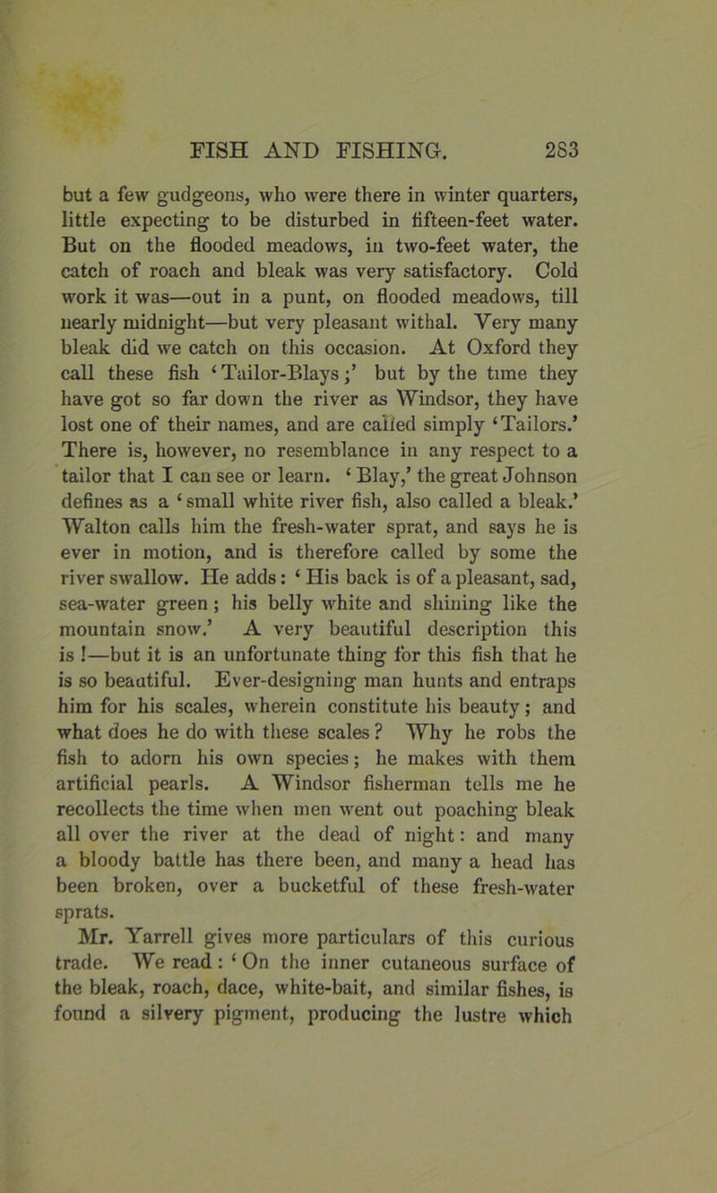 but a few gudgeons, who were there in winter quarters, little expecting to be disturbed in fifteen-feet water. But on the flooded meadows, in two-feet water, the catch of roach and bleak was very satisfactory. Cold work it was—out in a punt, on flooded meadows, till nearly midnight—but very pleasant withal. Yery many bleak did we catch on this occasion. At Oxford they call these fish ‘ Tailor-Blays;’ but by the time they have got so far down the river as Windsor, they have lost one of their names, and are called simply ‘Tailors.’ There is, however, no resemblance in any respect to a tailor that I can see or learn. ‘ Blay,’ the great Johnson defines as a ‘ small white river fish, also called a bleak.’ Walton calls him the fresh-water sprat, and says he is ever in motion, and is therefore called by some the river swallow. He adds: ‘ His back is of a pleasant, sad, sea-water green; his belly white and shining like the mountain snow.’ A very beautiful description this is !—but it is an unfortunate thing for this fish that he is so beautiful. Ever-designing man hunts and entraps him for his scales, wherein constitute his beauty; and what does he do with these scales ? Why he robs the fish to adorn his own species; he makes with them artificial pearls. A Windsor fisherman tells me he recollects the time when men went out poaching bleak all over the river at the dead of night: and many a bloody battle has there been, and many a head has been broken, over a bucketful of these fresh-water sprats. Mr. Yarrell gives more particulars of this curious trade. We read : ‘ On the inner cutaneous surface of the bleak, roach, dace, white-bait, and similar fishes, is found a silvery pigment, producing the lustre which