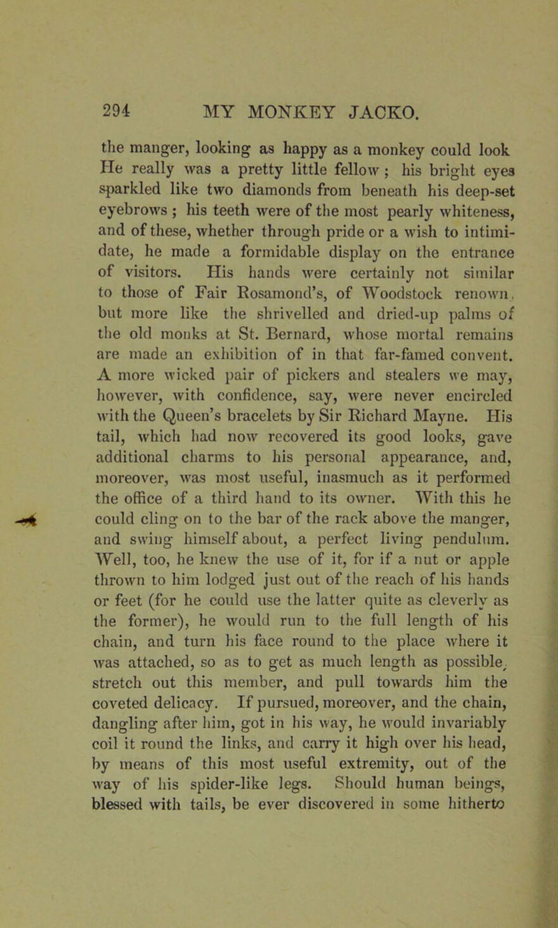 the manger, looking as happy as a monkey could look He really was a pretty little fellow ; his bright eyes sparkled like two diamonds from beneath his deep-set eyebrows ; his teeth were of the most pearly whiteness, and of these, whether through pride or a wish to intimi- date, he made a formidable display on the entrance of visitors. His hands were certainly not similar to those of Fair Rosamond’s, of Woodstock renown, but more like the shrivelled and dried-up palms of the old monks at St. Bernard, whose mortal remains are made an exhibition of in that far-famed convent. A more wicked pair of pickers and stealers we may, however, with confidence, say, were never encircled with the Queen’s bracelets by Sir Richard Mayne. His tail, which had now recovered its good looks, gave additional charms to his personal appearance, and, moreover, was most useful, inasmuch as it performed the office of a third hand to its owner. With this he could cling on to the bar of the rack above the manger, and swing himself about, a perfect living pendulum. Well, too, he knew the use of it, for if a nut or apple thrown to him lodged just out of the reach of his hands or feet (for he could use the latter quite as cleverly as the former), he would run to the full length of his chain, and turn his face round to the place where it was attached, so as to get as much length as possible, stretch out this member, and pull towards him the coveted delicacy. If pursued, moreover, and the chain, dangling after him, got in his way, he would invariably coil it round the links, and carry it high over his head, by means of this most useful extremity, out of the way of his spider-like legs. Should human beings, blessed with tails, be ever discovered in some hitherto