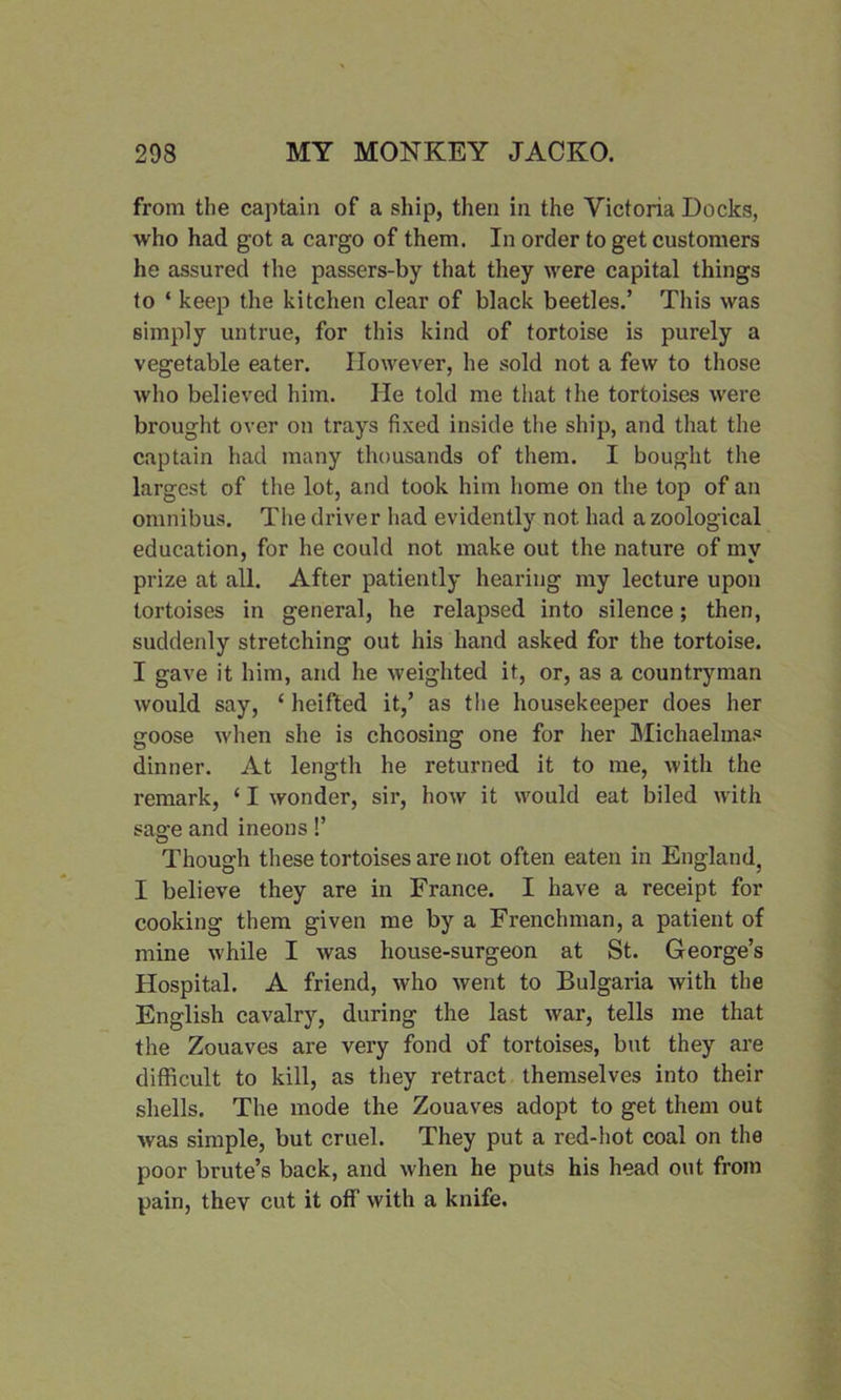 from the captain of a ship, then in the Victoria Docks, who had got a cargo of them. In order to get customers he assured the passers-by that they were capital things to ‘ keep the kitchen clear of black beetles.’ This was simply untrue, for this kind of tortoise is purely a vegetable eater. However, he sold not a few to those who believed him. He told me that the tortoises were brought over on trays fixed inside the ship, and that the captain had many thousands of them. I bought the largest of the lot, and took him home on the top of an omnibus. The driver had evidently not had a zoological education, for he could not make out the nature of my prize at all. After patiently hearing my lecture upon tortoises in general, he relapsed into silence; then, suddenly stretching out his hand asked for the tortoise. I gave it him, and he weighted it, or, as a countryman would say, ‘ heifted it,’ as the housekeeper does her goose when she is choosing one for her Michaelmas dinner. At length he returned it to me, with the remark, ‘ I wonder, sir, how it would eat biled with sage and ineons!’ Though these tortoises are not often eaten in England, I believe they are in France. I have a receipt for cooking them given me by a Frenchman, a patient of mine while I was house-surgeon at St. George’s Hospital. A friend, who went to Bulgaria with the English cavalry, during the last war, tells me that the Zouaves are very fond of tortoises, but they are difficult to kill, as they retract themselves into their shells. The mode the Zouaves adopt to get them out was simple, but cruel. They put a red-hot coal on the poor brute’s back, and when he puts his head out from pain, they cut it off’ with a knife.
