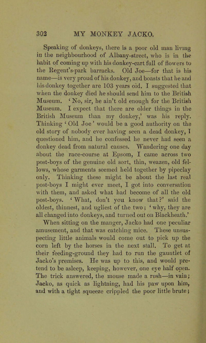 Speaking of donkeys, there is a poor old man living in the neighbourhood of Albany-street, who is in the habit of coming up with his donkey-cart full of flowers to the Regent’s-park barracks. Old Joe—for that is his name—is very proud of his donkey, and boasts that he and his donkey together are 103 years oid. I suggested that when the donkey died he should send him to the British Museum. ‘ No, sir, he ain’t old enough for the British Museum. I expect that there are older things in the British Museum than my donkey,’ was his reply. Thinking £ Old Joe ’ would be a good authority on the old story of nobody ever having seen a dead donkey, I questioned him, and he confessed he never had seen a donkey dead from natural causes. Wandering one day about the race-course at Epsom, I came across two post-boys of the genuine old sort, thin, weazen, old fel- lows, whose garments seemed held together by pipeclay only. Thinking these might be about the last real post-boys I might ever meet, I got into conversation with them, and asked what had become of all the old post-boys. ‘ What, don’t you know that ?’ said the oldest, thinnest, and ugliest of the two ; ‘ why, they are all changed into donkeys, and turned out on Blackheath.’ When sitting on the manger, Jacko had one peculiar amusement, and that was catching mice. These unsus- pecting little animals would come out to pick up the corn left by the horses in the next stall. To get at their feeding-ground they had to run the gauntlet of Jacko’s premises. He was up to this, and would pre- tend to be asleep, keeping, however, one eye half open. The trick answered, the mouse made a rush—in vain; Jacko, as quick as lightning, had his paw upon him, and with a tight squeeze crippled the poor little brute;
