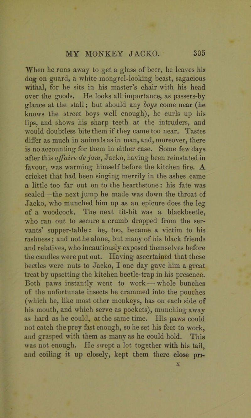 When he runs away to get a glass of beer, he leaves his dog on guard, a white mongrel-looking beast, sagacious withal, for he sits in his master’s chair with his head over the goods. He looks all importance, as passers-by glance at the stall; but should any boys come near (he knows the street boys well enough), he curls up his lips, and shows his sharp teeth at the intruders, and would doubtless bite them if they came too near. Tastes differ as much in animals as in man, and, moreover, there is no accounting for them in either case. Some few days after this affaire de jam, Jacko, having been reinstated in favour, was warming himself before the kitchen fire. A cricket that had been singing merrily in the ashes came a little too far out on to the hearthstone: his fate was sealed—the next jump he made was down the throat of Jacko, who munched him up as an epicure does the leg of a woodcock. The next tit-bit was a blackbeetle, who ran out to secure a crumb dropped from the ser- vants’ supper-table: he, too, became a victim to his rashness ; and not he alone, but many of his black friends and relatives, who incautiously exposed themselves before the candles were put out. Having ascertained that these beetles were nuts to Jacko, I one day gave him a great treat by upsetting the kitchen beetle-trap in his presence. Both paws instantly went to work — whole bunches of the unfortunate insects he crammed into the pouches (which he, like most other monkeys, has on each side of his mouth, and which serve as pockets), munching away as hard as he could, at the same time. His paws could not catch the prey fast enough, so he set his feet to work, and grasped with them as many as he could hold. This was not enough. He swept a lot together with his tail, and coiling it up closely, kept them there close pn-