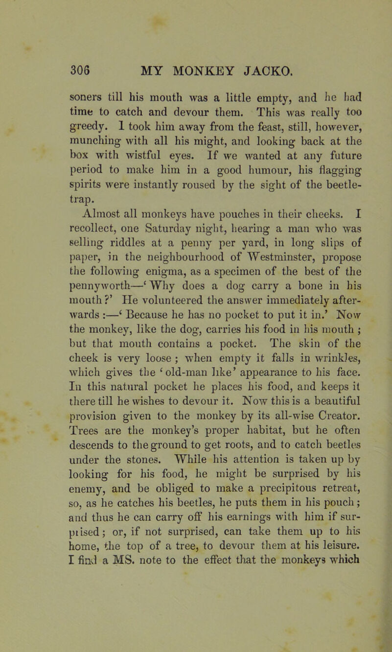 soners till his mouth was a little empty, and he had time to catch and devour them. This was really too greedy. 1 took him away from the feast, still, however, munching with all his might, and looking back at the box with wistful eyes. If we wanted at any future period to make him in a good humour, his flagging spirits were instantly roused by the sight of the beetle- trap. Almost all monkeys have pouches in their cheeks. I recollect, one Saturday night, hearing a man who was selling riddles at a penny per yard, in long slips of paper, in the neighbourhood of Westminster, propose the following enigma, as a specimen of the best of the pennyworth—‘ Why does a dog carry a bone in his mouth?’ He volunteered the answer immediately after- wards :—‘ Because he has no pocket to put it in.’ Now the monkey, like the dog, carries his food in his mouth ; but that mouth contains a pocket. The skin of the cheek is very loose ; when empty it falls in wrinkles, which gives the £old-man like’ appearance to his face. In this natural pocket he places his food, and keeps it there till he wishes to devour it. Now this is a beautiful provision given to the monkey by its all-wise Creator. Trees are the monkey’s proper habitat, but he often descends to the ground to get roots, and to catch beetles under the stones. While his attention is taken up by looking for his food, he might be surprised by his enemy, and be obliged to make a precipitous retreat, so, as he catches his beetles, he puts them in his pouch; and thus he can carry off his earnings with him if sur- piised; or, if not surprised, can take them up to his home, the top of a tree, to devour them at his leisure. I find a MS. note to the effect that the monkeys which