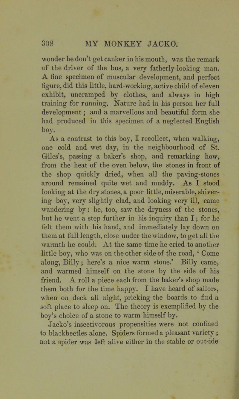 wonder he don’t get canker in his mouth, was the remark of the driver of the bus, a very fatherly-looking man. A fine specimen of muscular development, and perfect figure, did this little, hard-working, active child of eleven exhibit, uncramped by clothes, and always in high training for running. Nature had in his person her full development; and a marvellous and beautiful form she had produced in this specimen of a neglected English boy. As a contrast to this boy, I recollect, when walking, one cold and wet day, in the neighbourhood of St. Giles’s, passing a baker’s shop, and remarking how, from the heat of the oven below, the stones in front of the shop quickly dried, when all the paving-stones around remained quite wret and muddy. As I stood looking at the dry stones, a poor little, miserable, shiver- ing boy, very slightly clad, and looking very ill, came wandering by: he, too, saw the dryness of the stones, but he went a step further in his inquiry than I; for he felt them with his hand, and immediately lay down on them at full length, close under the window, to get all the warmth he could. At the same time he cried to another little boy, who was on the other side of the road, ‘ Come along, Billy; here’s a nice warm stone.’ Billy came, and warmed himself on the stone by the side of his friend. A roll a piece each from the baker’s shop made them both for the time happy. I have heard of sailors, when on deck all night, pricking the boards to find a soft place to sleep on. The theory is exemplified by the boy’s choice of a stone to warm himself by. Jacko’s insectivorous propensities were not confined to blackbeetles alone. Spiders formed a pleasant variety ; not a spider was left alive either in the stable or out-ide