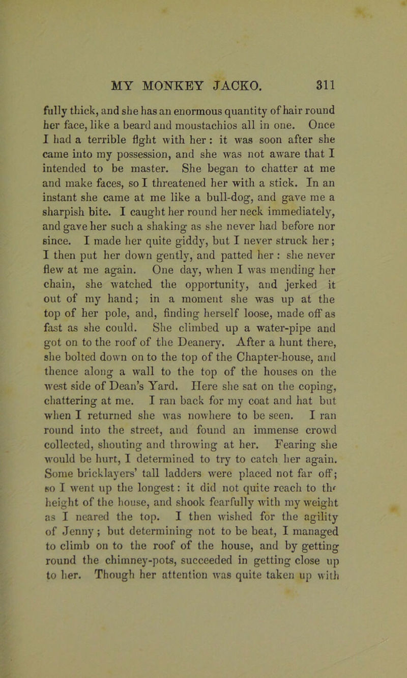 fully thick, and she has an enormous quantity of hair round her face, like a beard and moustachios all in one. Once I had a terrible fight with her : it was soon after she came into my possession, and she was not aware that I intended to be master. She began to chatter at me and make faces, so I threatened her with a stick. In an instant she came at me like a bull-dog, and gave me a sharpish bite. I caught her round her neck immediately, and gave her such a shaking as she never had before nor since. I made her quite giddy, but I never struck her; I then put her down gently, and patted her : she never flew at me again. One day, when I was mending her chain, she watched the opportunity, and jerked it out of my hand; in a moment she was up at the top of her pole, and, finding herself loose, made off as fast as she could. She climbed up a water-pipe and got on to the roof of the Deanery. After a hunt there, she bolted down on to the top of the Chapter-house, and thence along a wrall to the top of the houses on the west side of Dean’s Yard. Here she sat on the coping, chattering at me. I ran back for my coat and hat but when I returned she was nowhere to be seen. I ran round into the street, and found an immense crowd collected, shouting and throwing at her. Fearing she would be hurt, I determined to try to catch her again. Some bricklayers’ tall ladders wrere placed not far off; so I went up the longest: it did not quite reach to tin height of the house, and shook fearfully with my weight as I neared the top. I then wished for the agility of Jenny; but determining not to be beat, I managed to climb on to the roof of the house, and by getting round the chimney-pots, succeeded in getting close up to her. Though her attention was quite taken up with