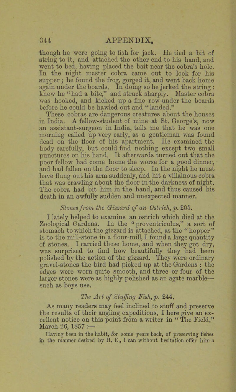 though he wore going to fish for jack. lie tied a bit of string to it, and attached the other end to his hand, and went to bed, having placed the bait near the cobra’s hole. In the night master cobra came out to look for his supper ; he found the frog, gorged it, and went back home again under the boards. In doing so he jerked the string : knew he “ had a bite,” and struck sharply. Master cobra was hooked, and kicked up a fine row under the boards before he could be bawled out and “landed.” These cobras are dangerous creatures about the houses in India. A fellow-student of mine at St. George’s, now an assistant-surgeon in India, tells me that he was one morning called up very early, as a gentleman was found dead on the floor of his apartment. He examined the body carefully, but could find nothing except two small punctures on his hand. It afterwards turned out that the poor fellow had come home the worse for a good dinner, and had fallen on the floor to sleep. In the night he must have flung out his arm suddenly, and hit a villainous cobra that was crawling about the floor in the darkness of night. The cobra had bit him in the hand, and thus caused his death in an awfully sudden and unexpected manner. Sto7ies from the Gizzard of an Ostrich, p. 205. I lately helped to examine an ostrich which died at the Zoological Gardens. In the “ proventriculus,” a sort of stomach to which the gizzard is attached, as the “ hopper ” is to the mill-stone in a flour-mill, I found a large quantity of stones. I carried these home, and when they got dry, was surprised to find how beautifully they had been polished by the action of the gizzard. They were ordinary gravel-stones the bird had picked up at the Gardens : the edges were worn quite smooth, and three or four of the larger stones were as highly polished as an agate marble— such as boys use. The Art of Stuffing Fish, p. 244. As many readers may feel inclined to stuff and preserve the results of their angling expeditions, I here give an ex- cellent notice on this point from a writer in “ The Field,” March 26, 1857 Having been in the habit, for some years back, of preserving fishes in the manner desired by H. E., I can without hesitation offer him a