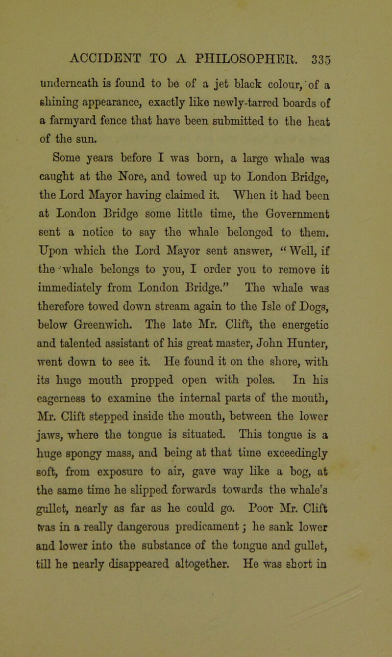 uiulerneath is found to be of a jet black colour, of a sbining appearance, exactly like newly-tarrcd boards of a farmyard fence that have been submitted to the heat of the sun. Some years before I was born, a largo whale was caught at the Nore, and towed up to London Bridge, the Lord Mayor having claimed it. When it had been at London Bridge some little time, the Government sent a notice to say the whale belonged to them. Upon which the Lord Mayor sent answer, “ Well, if the ^whale belongs to you, I order you to remove it immediately from London Bridge.” The whale was therefore towed down stream again to the Isle of Dogs, below Greenwich. The late Mr. Clift, the energetic and talented assistant of his great master, John Hunter, went down to see it. He found it on the shore, with its huge mouth propped open with poles. In his eagerness to examine the internal parts of the mouth, Mr. Clift stepped inside the mouth, between the lower jaws, where the tongue is situated. This tongue is a huge spongy mass, and being at that time exceedingly soft, from exposure to air, gave w^ay like a bog, at the same time he slipped forwards towards the whale’s gtdlet, nearly as far as he could go. Poor Mr. Clift tvas in a really dangerous predicament; he sank lower and lower into the substance of the tongue and gullet, till he nearly disappeared altogether. He was short in