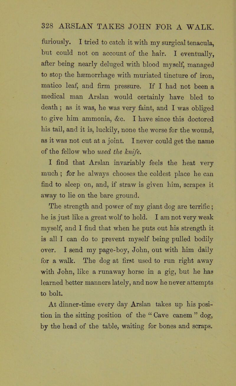 furiously. I tried to catch it with my surgical tenacula, but could not on account of the hair. I eventually, after being nearly deluged with blood myself, managed to stop the haemorrhage with muriated tincture of iron, matico leaf, and firm pressure. If I had not been a medical man Arslan would certainly have bled to death ; as it was, he was very faint, and I was obliged to give him ammonia, &c. I have since this doctored his tail, and it is, luckily, none the worse for the wound, as it was not cut at a joint. I never could get the name of the fellow who used the knife. I find that Arslan invariably feels the heat very much ; for he always chooses the coldest place he can find to sleep on, and, if straw is given him, scrapes it away to lie on the bare ground. The strength and power of my giant dog are terrific ; he is just like a great wolf to hold. I am not very weak myself, and I find that when he puts out his strength it is all I can do to prevent myself being pulled bodily over. I send my page-boy, John, out with him daily for a walk. The dog at first used to run right away with John, like a runaway horse in a gig, but he has learned better manners lately, and now he never attempts to bolt. At dinner-time every day Arslan takes up his posi- tion in the sitting position of the “ Cave canem ” dog, by the head of the table, waiting for bones and scraps.