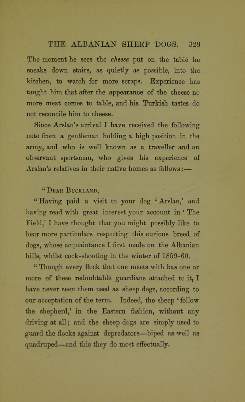 The moment he sees the cheese put on the table he sneaks down stairs, as quietly as possible, into the kitchen, to watch for more scraps. Experience has taught him that after the appearance of the cheese no more meat comes to table, and his Turkish tastes do not reconcile him to cheese. Since Arslan’s arrival I have received the following note from a gentleman holding a high position in the army, and who is well known as a traveller and an observant sportsman, who gives his experience of Arslan’s relatives in their native homes as follows:— “ Dear Buckland, “ Having paid a visit to your dog 1 Arslan,’ and having read with great interest your account in ‘ The Field,’ I have thought that you might possibly like to hear more particulars respecting this curious breed of dogs, whose acquaintance I first made on the Albanian hills, whilst cock-shooting in the winter of 1859-60. “ Though every flock that one meets with has one or more of these redoubtable guardians attached to it, I have never seen them used as sheep dogs, according to our acceptation of the term. Indeed, the sheep ‘ follow the shepherd,’ in the Eastern fashion, without any driving at all; and the sheep dogs are simply used to guard the flocks against depredators—biped as well as quadruped—and this they do most effectually.