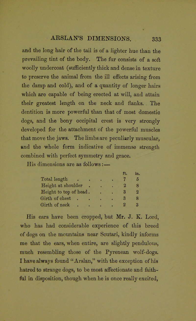 and the long hair of the tail is of a lighter hue than the prevailing tint of the body. The fur consists of a soft woolly undercoat (sufficiently thick and dense in texture to preserve the animal from the ill effects arising from the damp and cold), and of a quantity of longer hairs which are capable of being erected at will, and attain their greatest length on the neck and flanks. The dentition is more powerful than that of most domestic dogs, and the bony occipital crest is very strongly developed for the attachment of the powerful muscles that move the jaws. The limbs are peculiarly muscular, and the whole form indicative of immense strength combined with perfect symmetry and grace. His dimensions are as follows : — ft. in. Total length .... 7 5 Height at shoulder ... 2 8 Height to top of head... 3 2 Girth of chest .... 3 8 Girth of neck .... 2 3 His ears have been cropped, but Mr. J. K. Lord, who has had considerable experience of this breed of dogs on the mountains near Scutari, kindly informs me that the ears, when entire, are slightly pendulous, much resembling those of the Pyrenean wolf-dogs. I have always found “Arslan,” with the exception of his hatred to strange dogs, to be most affectionate and faith- ful in disposition, though when he is once really excited,