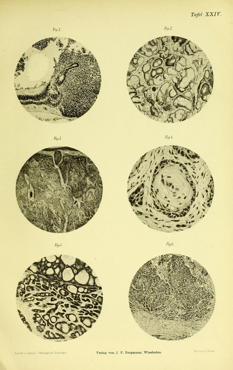 Heliotypi Ca.'Bostori