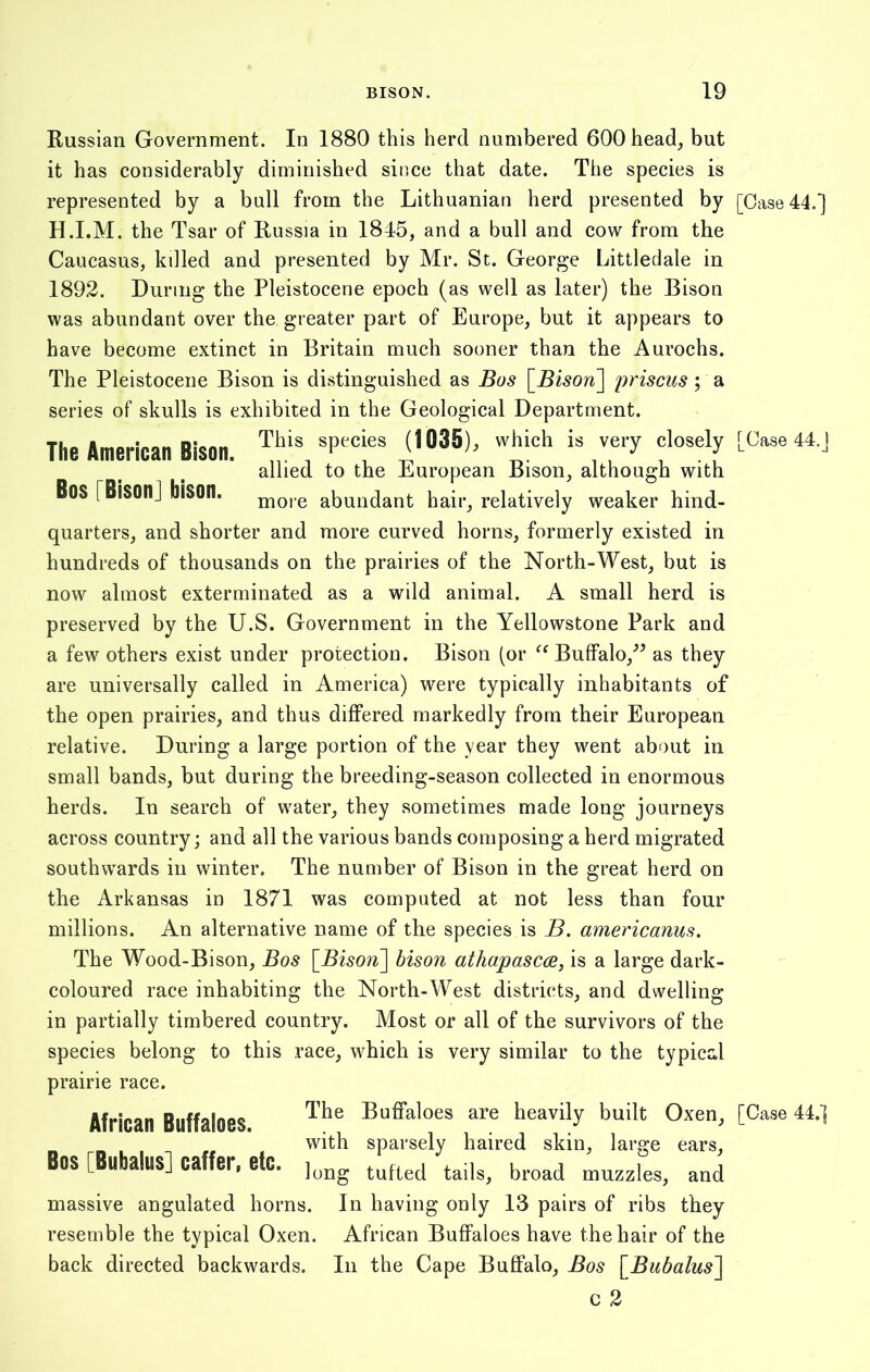 Russian Government. In 1880 this herd numbered 600 head, but it has considerably diminished since that date. The species is represented by a bull from the Lithuanian herd presented by [Case 44.] H.I.M. the Tsar of Russia in 1845, and a bull and cow from the Caucasus, killed and presented by Mr. St. George Littledale in 1892. During the Pleistocene epoch (as well as later) the Bison was abundant over the greater part of Europe, but it appears to have become extinct in Britain much sooner than the Aurochs. The Pleistocene Bison is distinguished as Bos [Bison] priscus; a series of skulls is exhibited in the Geological Department. The American Bison. lv- . _ T). . . . . . allied to the European Bison, although with Bos [Bison] bison. m0re abundant hair, relatively weaker hind- quarters, and shorter and more curved horns, formerly existed in hundreds of thousands on the prairies of the North-West, but is now almost exterminated as a wild animal. A small herd is preserved by the U.S. Government in the Yellowstone Park and a few others exist under protection. Bison (or “ Buffalo/5 as they are universally called in America) were typically inhabitants of the open prairies, and thus differed markedly from their European relative. During a large portion of the year they went about in small bands, but during the breeding-season collected in enormous herds. In search of water, they sometimes made long journeys across country; and all the various bands composing a herd migrated southwards in winter. The number of Bison in the great herd on the Arkansas in 1871 was computed at not less than four millions. An alternative name of the species is B. americanus. The Wood-Bison, Bos [Bison] bison athapasccs, is a large dark- coloured race inhabiting the North-West districts, and dwelling in partially timbered country. Most or all of the survivors of the species belong to this race, which is very similar to the typical prairie race. This species (1035), which is very closely [Case 44.J African Buffaloes. Bos [Bubalus] caffer, etc. The Buffaloes are heavily built Oxen, [Case 44.] with sparsely haired skin, large ears, long tufted tails, broad muzzles, and massive angulated horns. In having only 13 pairs of ribs they resemble the typical Oxen. African Buffaloes have the hair of the back directed backwards. In the Cape Buffalo, Bos [Bubalus] c 2