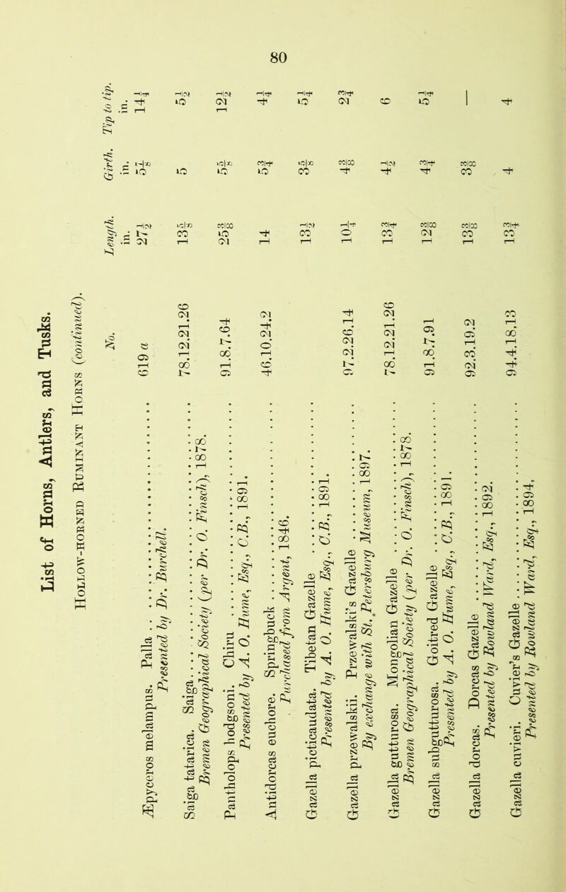 Tip to tip. in. H|03 H|?J -W Hl^ MW ^w 1 r*i <» ^1 05 00* rC> c3 ^ 08 SS p_l %> OQ .&!< c3 U m « §s a s 03 g d 3 pq u O C ^5 O -S W &D ^ no ss H m Ph £ O P3 <» 1| rp «Sq .2 ^ t< 2 p- 2 02 ts © d o - © P © OH JD Eq *© S3 s- o3 § _g O <D r© 3 S •S<$ © ‘p* _c3 *© S3 C3 cb G> p> ® § SI fO c3 2 cb s r-p$, 3^ <13 -S SI Ph :=l P<1 CO S* £ >3 © Pq io ^ r2 5- g d c3 ' cb ^ p .a J 5f”3 S-8 8* S. 03 ^ oo § 2 05 £ g fcX) 2 'oS S3 c3 rh <CH jSS © „ S <s> 51 no pq © £ o ’o • O ^ Sic -P 03 £ §•§“ o ^ sh y o <» -*> fi S • J- © u o n0 b+ 'sT § sSI © 53 SI s*s <g $ rf) ^ > OS p O s <© CG •P > 2 ^ *a r—^ © c3 cb