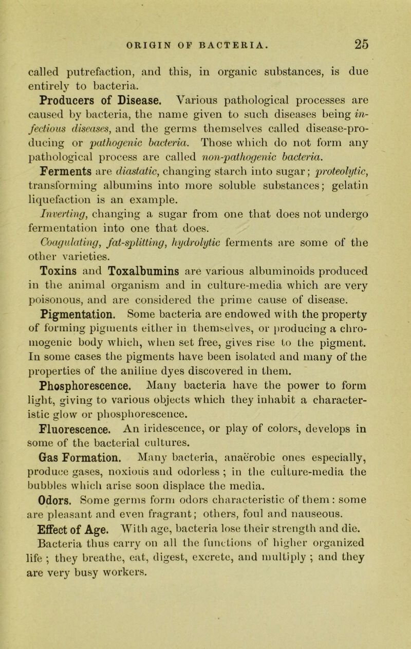 called putrefaction, and this, in organic substances, is due entirely to bacteria. Producers of Disease. Various pathological processes are caused by bacteria, the name given to such diseases being in- fectious diseases, and the germs themselves called disease-pro- ducing or 'pathogenic bacteria. Those which do not form any pathological process are called non-pathogenic bacteria. Ferments are diastatic, changing starch into sugar; proteolytic, transforming albumins into more soluble substances; gelatin liquefaction is an example. Inverting, changing a sugar from one that does not undergo fermentation into one that does. Coagulating, fat-splitting, hydrolytic ferments are some of the other varieties. Toxins and Toxalbumins are various albuminoids produced in the animal organism and in culture-media which are very poisonous, and are considered the prime cause of disease. Pigmentation. Some bacteria are endowed with the property of forming pigments either in themselves, or i)roducing a chro- mogenic body which, when set free, gives rise to the pigment. In some cases the pigments have been isolated and many of the properties of the aniline dyes discovered in them. Phosphorescence. Many bacteria have the power to form light, giving to various objects which they inhabit a character- istic glow or phosphorescence. Fluorescence. An iridescence, or play of colors, develops in some of the bacterial cultures. Gas Formation. Many bacteria, anaerobic ones especially, produce gases, noxious and odorless ; in the cuUure-media the bubbles which arise soon displace the media. Odors. Some germs form odors characteristic of them: some are pleasant and even fragrant; others, foul and nauseous. Effect of Age. With age, bacteria lose their strength and die. Bacteria thus carry on all the functious of higher organized life ; they breathe, eat, digest, excrete, and multiply ; and they are very busy workers.