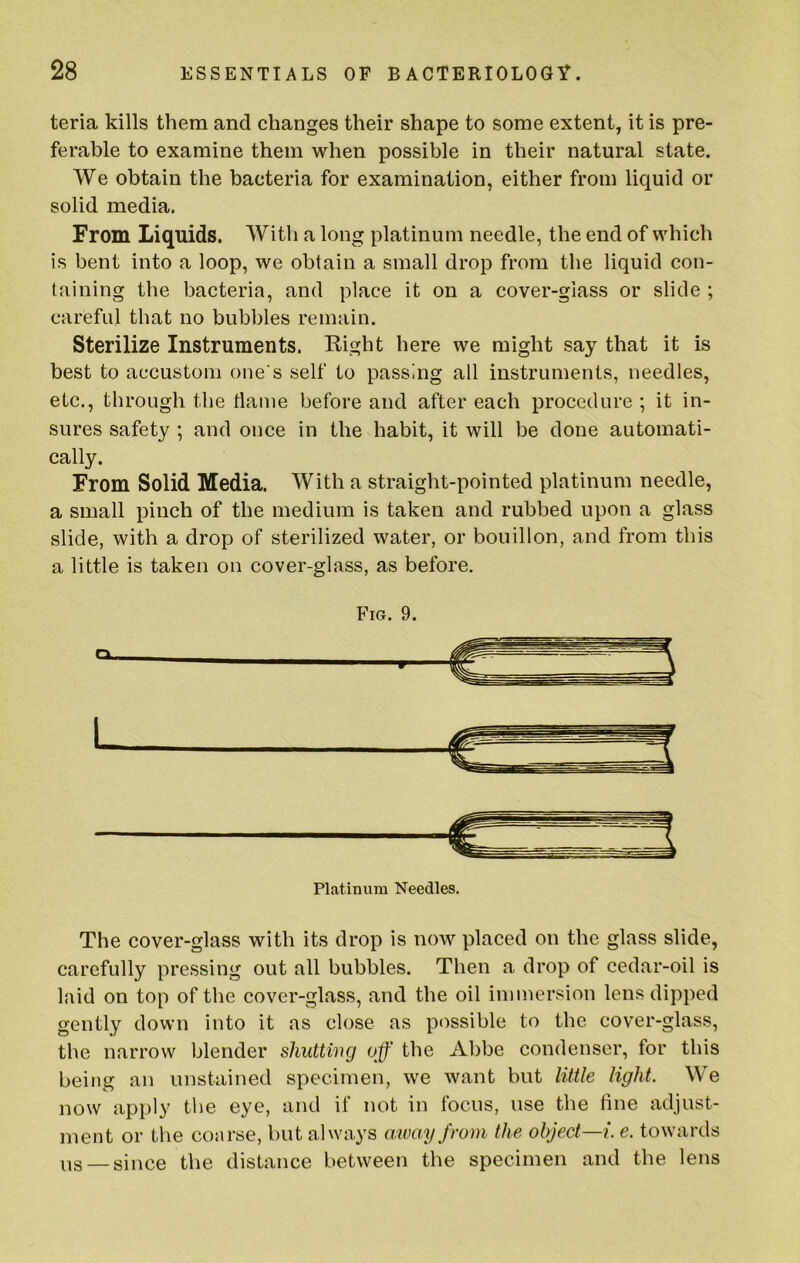 teria kills them and changes their shape to some extent, it is pre- ferable to examine them when possible in their natural state. We obtain the bacteria for examination, either from liquid or solid media. From Liquids. With a long platinum needle, the end of which is bent into a loop, we obtain a small drop from the liquid con- taining the bacteria, and place it on a cover-glass or slide ; careful that no bubbles remain. Sterilize Instruments. Eight here we might say that it is best to accustom one s self to passing all instruments, needles, etc., through the tlame before and after each procedure ; it in- sures safety ; and once in the habit, it will be done automati- cally. From Solid Media. With a straight-pointed platinum needle, a small pinch of the medium is taken and rubbed upon a glass slide, with a drop of sterilized water, or bouillon, and from this a little is taken on cover-glass, as before. Fig. 9. Q. Platinum Needles, The cover-glass with its drop is now placed on the glass slide, carefully pressing out all bubbles. Then a drop of cedar-oil is laid on top of the cover-glass, and the oil immersion lens dipped gently down into it as close as possible to the cover-glass, the narrow blender shutting off the Abbe condenser, for this being an unstained specimen, we want but little light. We now apply the eye, and if not in focus, use the tine adjust- ment or the coarse, but always away from the object—i. e. towards —since the distance between the specimen and the lens