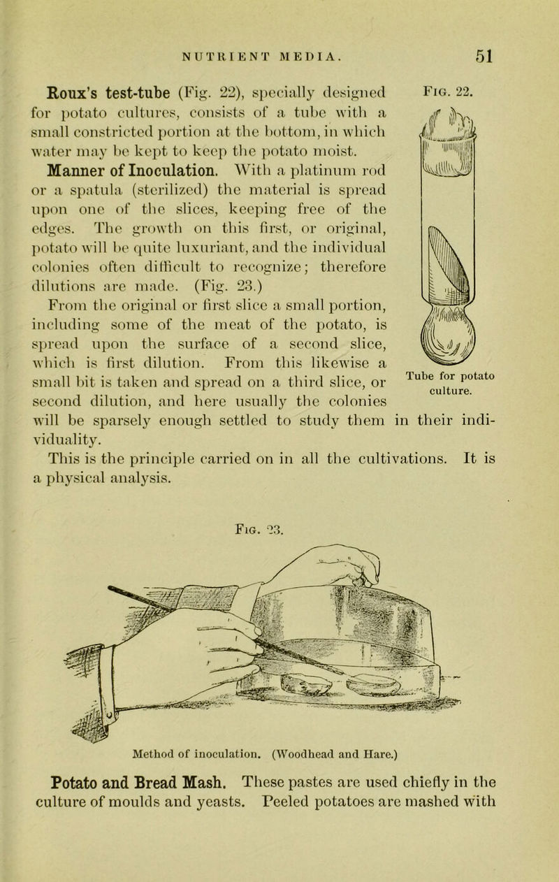 Roux’s test-tube (Fig. 22), specially designed for potato cidtures, consists of a tube with a small constricted portion at the bottom, in which water may he kept to keep tlie potato moist. Marnier of Inoculation. With a platinnm rod or a spatula (sterilized) the material is spread upon one of the slices, keeping free of the edges. The growth on this first, or original, l)otato will he quite luxuriant, and the individual colonies often difficult to recognize; therefore dilutions are made. (Fig. 23.) From the original or first slice a small portion, including some of the meat of the potato, is spread upon the surface of a second slice, which is first dilution. From this likewise a small l)it is taken and spread on a third slice, or second dilution, and here usually the colonies will be sparsely enough settled to study them in their indi- viduality. This is the principle carried on in all the cultivations, a physical analysis. Tube for potato culture. It is Fig. ?.3. Method of inoculation. (Woodhead and Hare.) Potato and Bread Mash. These pastes are used chiefly in the culture of moulds and yeasts. Peeled potatoes are mashed with