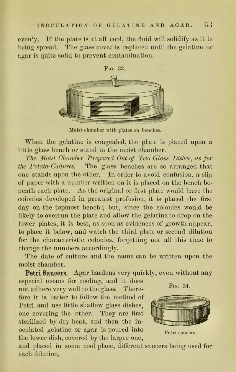 even’j. If the plate is at all cool, the fluid will solidify as it is being spread. Tlie glass cover is replaced until the gelatine or agar is quite solid to prevent contamination. Fig. 33. Moist chamber with plates on benches. When the gelatine is congealed, the plate is placed upon a little glass bench or stand in the moist chamber. The M(Ast Chamber Prepared Out of Two Glass Dishes^ as for the Potato-Cultures. • The glass benches are so arranged that one stands upon the other. In order to avoid confusion, a slip of paper with a number written on it is placed on the bench be- neath each plate. As the original or first plate would have the colonies developed in greatest profusion, it is placed the first day on the topmost bench ; but, since the colonies would be likely to overrun the plate and allow the gelatine to drop on the lower plates, it is best, as soon as evidences of growth appear, to place it below, and watch the third plate or second dilution for the characteristic colonies, forgetting not all this time to change the numbers accordingly. The date of culture and the name can be written upon the moist chamber. Petri Saucers. Agar hardens very quickly, even without any especial means for cooling, and it does not adhere very well to the glass. There- fore it is better to follow the method of Petri and use little shallow glass dishes, one covering the other. They are first sterilized by dry heat, and then the in- oculated gelatine or agar is poured into the lower dish, covered by the larger one, and placed in some cool place, different saucers being used for each dilution. Fig. 34, Petri saucers.