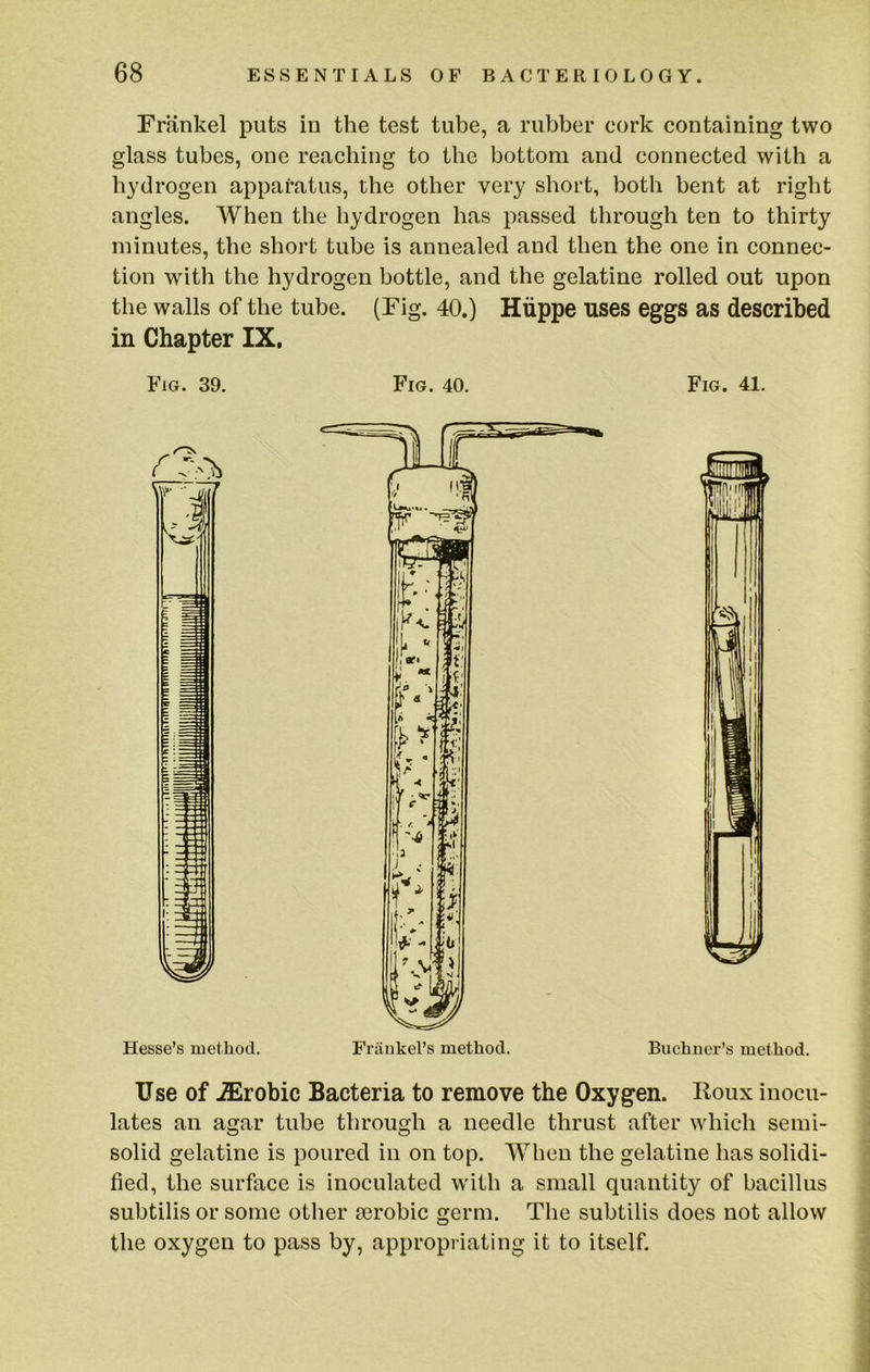 Frankel puts in the test tube, a rubber cork containing two glass tubes, one reaching to the bottom and connected with a hydrogen apparatus, the other very short, both bent at right angles. When the hydrogen has passed through ten to thirty minutes, the short tube is annealed and then the one in connec- tion with the hydrogen bottle, and the gelatine rolled out upon the walls of the tube. (Fig. 40.) Hiippe uses eggs as described in Chapter IX. Fig. 39. Fig. 40. Fig. 41. Use of .ffirobic Bacteria to remove the Oxygen. Roux inocu- lates an agar tube through a needle thrust after which semi- solid gelatine is poured in on top. When the gelatine has solidi- fied, the surface is inoculated with a small quantity of bacillus subtilis or some other ajrobic germ. The subtilis does not allow the oxygen to pass by, appropriating it to itself.