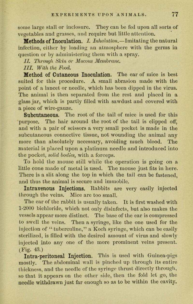 some large stall or iiiclosure. They can be fed upon all sorts of vegetables and grasses, and require but little attention. Methods of Inoculation. I. Inhalation.—Imitating the natural infection, either by loading an atmosphere with the germs in question or by administering them with a spray. II. Throfiugh Skin or Mucous Membrane. III. With the Food. Method of Cutaneous Inoculation. The ear of mice is best suited for this procedure. A small abrasion made with the point of a lancet or needle, which has been dipped in the virus. The animal is then separated from the rest and placed in a glass jar, which is partly filled with sawdust and covered with a piece of wire-gauze. Subcutaneous. The root of the tail of mice is used for this purpose. The hair around the root of the tail is clipped off, and with a pair of scissors a very small pocket is made in the subcutaneous connective tissue, not wounding the animal any more than absolutely necessary, avoiding much blood. The material is placed upon a platinum needle and introduced into the pocket, solid bodies, with a forceps. To hold the mouse still while the operation is going on a little cone made of metal is used. The mouse just fits in here. There is a slit along the top in which the tail can be fastened, and thus the animal is secure and immobile. Intravenous Injections. Babbits are very easily injected through the veins. Mice are too small. The ear of the rabbit is usually taken. It is first washed with 1-2000 bichloride, which not only disinfects, but also makes the vessels appear more distinct. The base of the ear is compressed to swell the veins. Then a syringe, like the one used for the injection of “ tuberculine,” a Koch syringe, which can be easily sterilized, is filled with the desired amount of virus and slowly injected into any one of the more prominent veins present. (Fig. 43.) Intra-peritoneal Injection. This is used with Guinea-pigs mostly. The abdominal wall is pinched up through its entire thickness, and the needle of the syringe thrust directly through, so that it appears on the other side, then the fold let go, the needle withdrawn just far enough so as to be within the cavity.