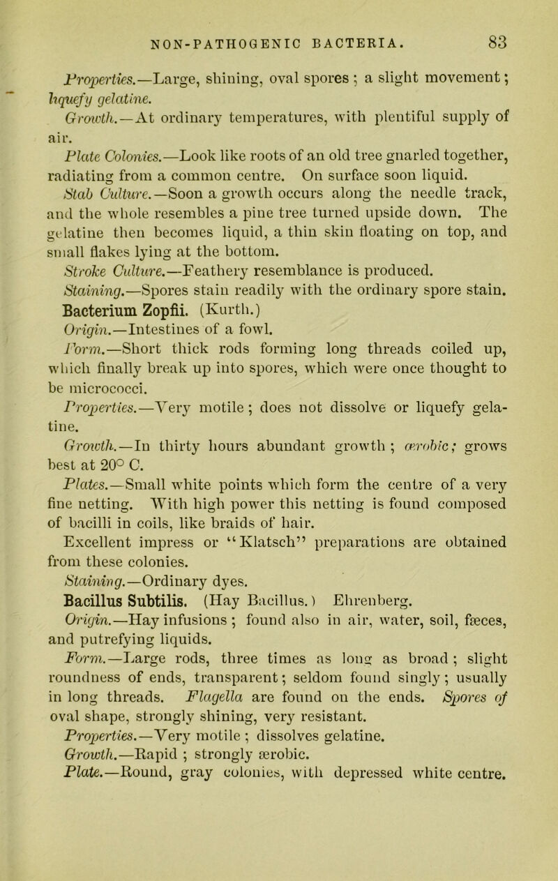 Frcypertks.—Large, shining, oval spores ; a slight movement; hquefij gelatine. Grencth.—At ordinary temperatures, with plentiful supply of air. Plate Colonies.—Look like roots of an old tree gnarled together, radiating from a common centre. On surface soon liquid. Stab Culture.—Soon a growth occurs along the needle track, and the whole resembles a pine tree turned upside down. The gelatine then becomes liquid, a thin skin floating on top, and small flakes lying at the bottom. Stroke Culture.—Feathery resemblance is produced. Staining.—Spores stain readily with the ordinary spore stain. Bacterium Zopfii. (Kurth.) Origin.—Intestines of a fowl. Form.—Short thick rods forming long threads coiled up, which finally break up into spores, which were once thought to be micrococci. Properties.—Yery motile; does not dissolve or liquefy gela- tine. Groioth.—In thirty hours abundant growth; mrohic; grows best at 20° C. Plates.—Small white points which form the centre of a very fine netting. With high power this netting is found composed of bacilli in coils, like braids of hair. Excellent impress or “Klatsch” preparations are obtained from these colonies. Staining.—Ordinary dyes. Bacillus Subtilis. (Hay Bacillus.) Ehrenberg. Origin.—Hay infusions ; found also in air, water, soil, faeces, and putrefying liquids. Form.—Large rods, three times as long as broad ; slight roundness of ends, transparent; seldom found singly; usually in long threads. Flagella are found on the ends. Sp)07'es oj oval shape, strongly shining, very resistant. Properties.—Very motile ; dissolves gelatine. Growth.—Rapid ; strongly aerobic. Plate.—Round, gray colonies, with depressed white centre.