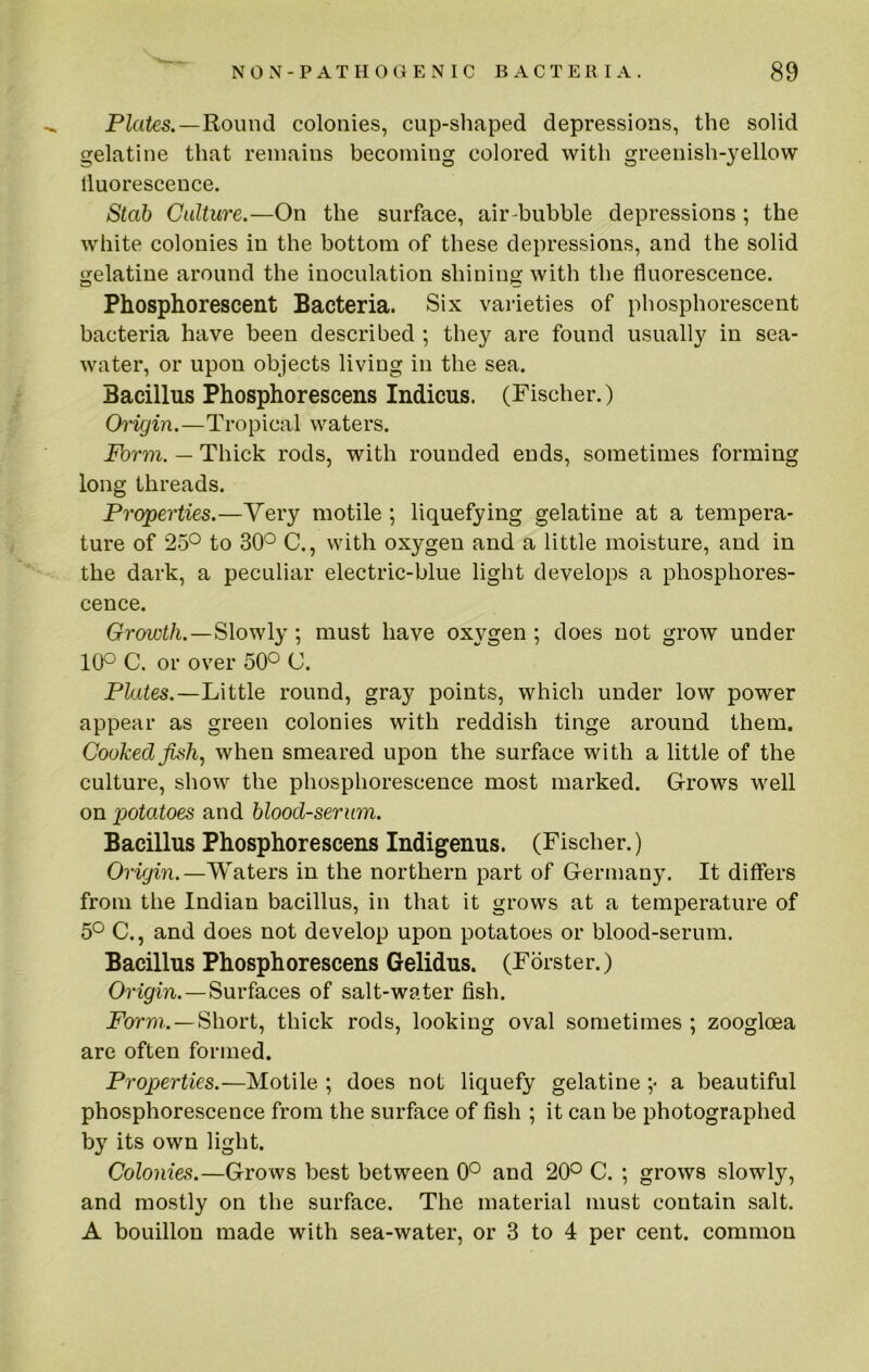 Plates.—Round colonies, cup-shaped depressions, the solid gelatine that remains becoming colored with greenish-yellow lluorescence. Stab Culture.—On the surface, air-bubble depressions ; the white colonies in the bottom of these depressions, and the solid gelatine around the inoculation shining with the fluorescence. Phosphorescent Bacteria. Six varieties of phosphorescent bacteria have been described ; they are found usually in sea- water, or upon objects living in the sea. Bacillus Phosphorescens Indicus. (Fischer.) Origin.—Tropical waters. Form. — Thick rods, with rounded ends, sometimes forming long threads. Properties.—Yery motile ; liquefying gelatine at a tempera- ture of 25*^ to 30'^ C., with oxygen and a little moisture, and in the dark, a peculiar electric-blue light develops a phosphores- cence. Growth.—Slowly ; must have oxvgen : does not grow under 10° C. or over 50° C. Plates.—Little round, gray points, which under low power appear as green colonies with reddish tinge around them. Cooked fish., when smeared upon the surface with a little of the culture, show the phosphorescence most marked. Grows well on potatoes and blood-serum. Bacillus Phosphorescens Indigenus. (Fischer.) Origin.—Waters in the northern part of Germany. It differs from the Indian bacillus, in that it grows at a temperature of 5° C., and does not develop upon potatoes or blood-serum. Bacillus Phosphorescens Gelidus. (Forster.) Oi’igfm.—Surfaces of salt-water fish. Form. —Short, thick rods, looking oval sometimes ; zooglcea are often formed. Properties.—Motile ; does not liquefy gelatine ;• a beautiful phosphorescence from the surface of fish ; it can be photographed by its own light. Colonies.—Grows best between 0° and 20® C. ; grows slowly, and mostly on the surface. The material must contain salt. A bouillon made with sea-water, or 3 to 4 per cent, common