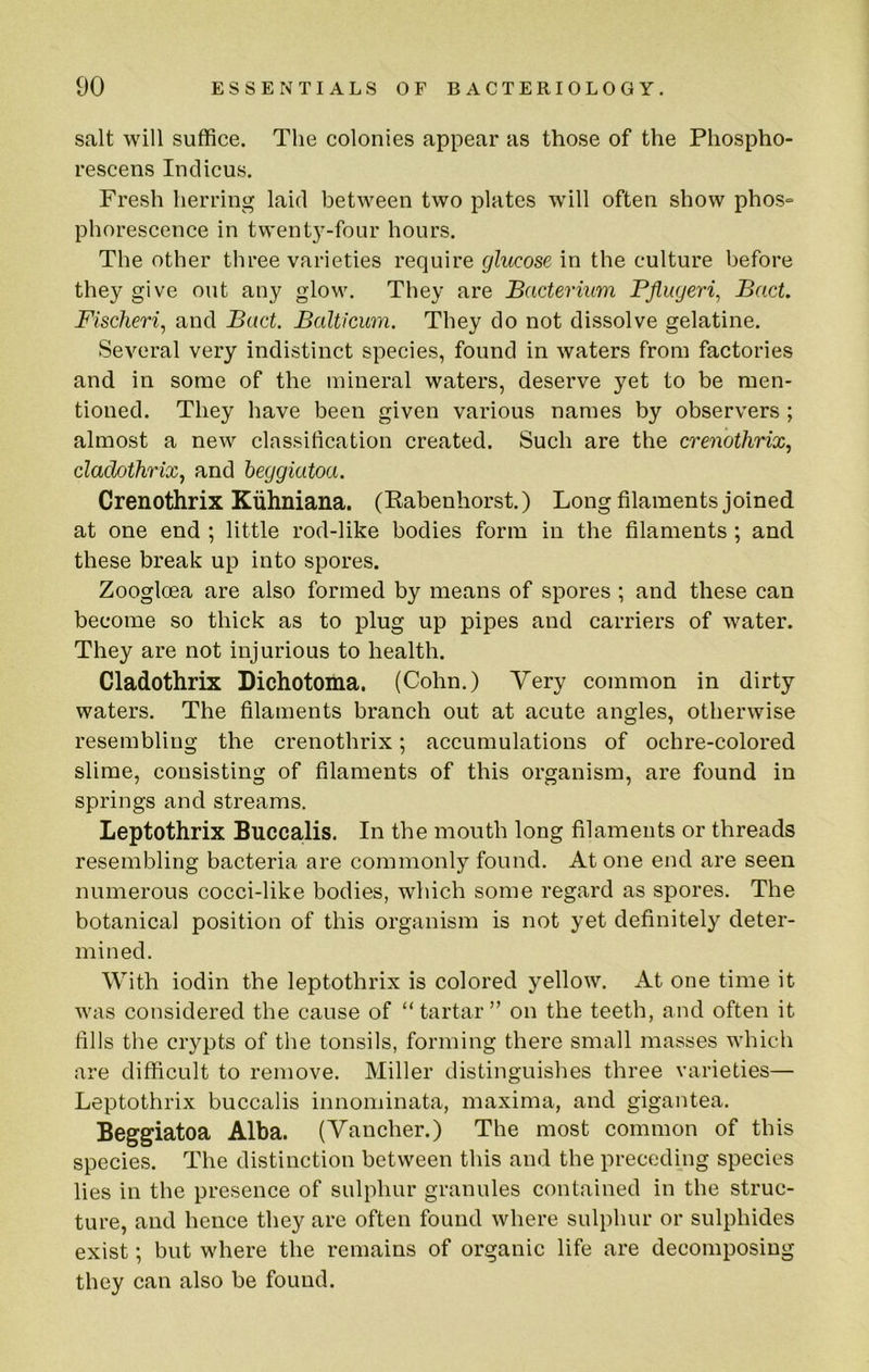 salt will suffice. The colonies appear as those of the Phospho- rescens Indicus. Fresh herring laid between two plates will often show phos° phorescence in twent3^-four hours. The other three varieties require glucose in the culture before they give out any glow. They are Bacterium Pjiuyeri^ BacL Fischeri, and Bact. Balticum. They do not dissolve gelatine. Several very indistinct species, found in waters from factories and in some of the mineral waters, deserve yet to be men- tioned. They have been given various names by observers ; almost a new classification created. Such are the crenothrix, cladothrix, and heggiatoa. Crenothrix Kuhniana. (Rabenhorst.) Long filaments joined at one end ; little rod-like bodies form in the filaments ; and these break up into spores. Zooglcea are also formed by means of spores; and these can become so thick as to plug up pipes and carriers of water. They are not injurious to health. Cladothrix Dichotoma. (Cohn.) Yery common in dirty waters. The filaments branch out at acute angles, otherwise resembling the crenothrix; accumulations of ochre-colored slime, consisting of filaments of this organism, are found in springs and streams. Leptothrix Buccalis. In the mouth long filaments or threads resembling bacteria are commonly found. At one end are seen numerous cocci-like bodies, which some regard as spores. The botanical position of this organism is not yet definitely deter- mined. With iodin the leptothrix is colored j^ellow. At one time it was considered the cause of “tartar” on the teeth, and often it fills the crypts of the tonsils, forming there small masses which are difficult to remove. Miller distinguishes three varieties— Leptothrix buccalis innominata, maxima, and gigantea. Beggiatoa Alba. (Yancher.) The most common of this species. The distinction between this and the preceding species lies in the presence of sulphur granules contained in the struc- ture, and hence they are often found where sulphur or sulphides exist; but where the remains of organic life are decomposing they can also be found.
