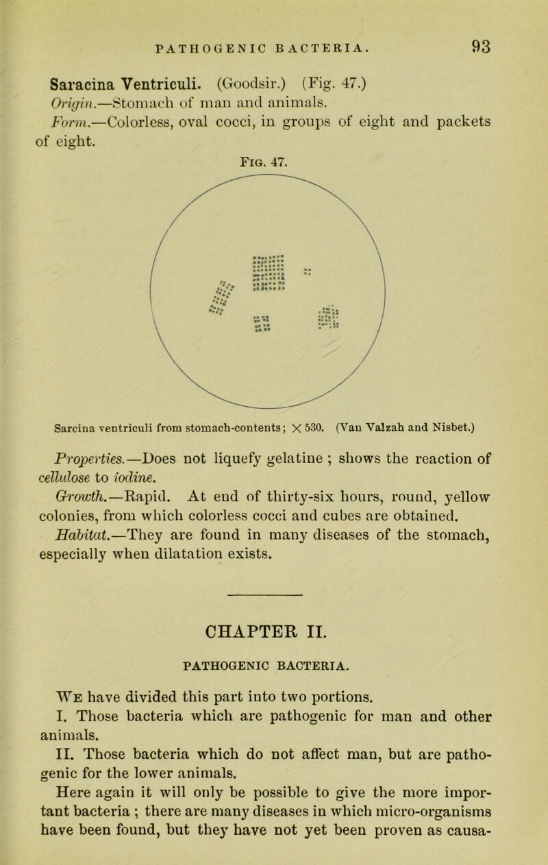 Saracina Ventriculi. (Goodsir.) (Fig. 47.) Origin.—fStomach of man and animals. Form.—Colorless, oval cocci, in groups of eight and packets of eight. Fig. 47. Sarcina ventriculi from stomach-contents; X 530. (Van Valzah and Nisbet.) Properties.—Does not liquefy gelatine ; shows the reaction of cellulose to iodine. Growth.—Rapid. At end of thirty-six hours, round, yellow colonies, from which colorless cocci and cubes are obtained. Habitat.—They are found in many diseases of the stomach, especially when dilatation exists. CHAPTER II. PATHOGENIC BACTERIA. We have divided this part into two portions. I. Those bacteria which are pathogenic for man and other animals. II. Those bacteria which do not affect man, but are patho- genic for the lower animals. Here again it will only be possible to give the more impor- tant bacteria ; there are many diseases in which micro-organisms have been found, but they have not yet been proven as causa-