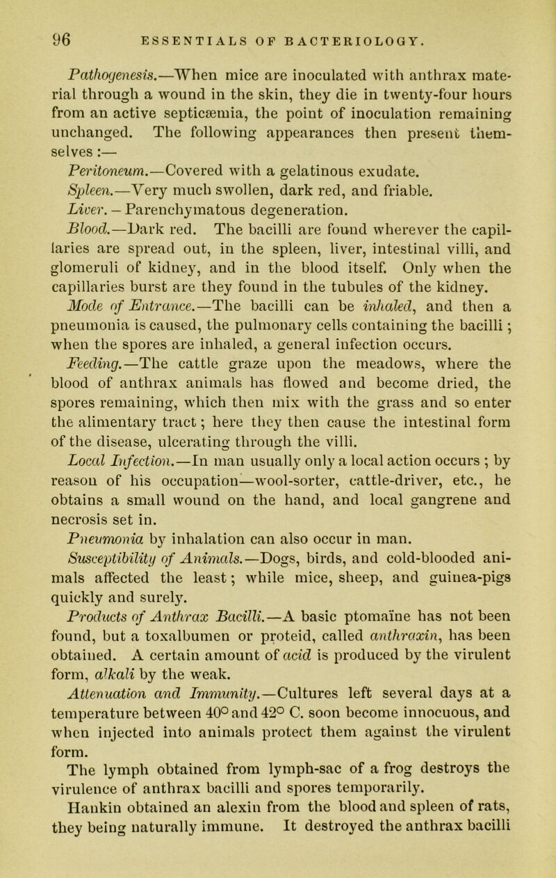 Pathogenesis.—When mice are inoculated with anthrax mate- rial through a wound in the skin, they die in twenty-four hours from an active septicsemia, the point of inoculation remaining unchanged. The following appearances then present them- selves :— Peritoneum.—Covered with a gelatinous exudate. Spleen.—Very much swollen, dark red, and friable. Liver. — Parenchymatous degeneration. Blood.—Dark red. The bacilli are found wherever the capil- laries are spread out, in the spleen, liver, intestinal villi, and glomeruli of kidney, and in the blood itself. Only when the capillaries burst are they found in the tubules of the kidney. Mode of Entrance.—The bacilli can be inhaled^ and then a pneumonia is caused, the pulmonary cells containing the bacilli; when the spores are inhaled, a general infection occurs. Feeding.—The cattle graze upon the meadows, where the blood of anthrax animals has flowed and become dried, the spores remaining, which then mix with the grass and so enter the alimentary tract; here they then cause the intestinal form of the disease, ulcerating through the villi. Local Infection.—In man usually only a local action occurs ; by reason of his occupation—wool-sorter, cattle-driver, etc., he obtains a small wound on the hand, and local gangrene and necrosis set in. Pneumonia by inhalation can also occur in man. Susceptibility of Animals.—Dogs, birds, and cold-blooded ani- mals affected the least; while mice, sheep, and guinea-pigs quickly and surel}\ Products of Anthrax Bacilli.—A basic ptomaine has not been found, but a toxalbumen or proteid, called arithraxin, has been obtained. A certain amount of acid is produced by the virulent form, alkali by the weak. Attenuation and Immunity.—Cultures left several days at a temperature between 40° and 42° C. soon become innocuous, and when injected into animals protect them against the virulent form. The lymph obtained from lymph-sac of a frog destroys the virulence of anthrax bacilli and spores temporarily. Hankin obtained an alexin from the blood and spleen of rats, they being naturally immune. It destroyed the anthrax bacilli