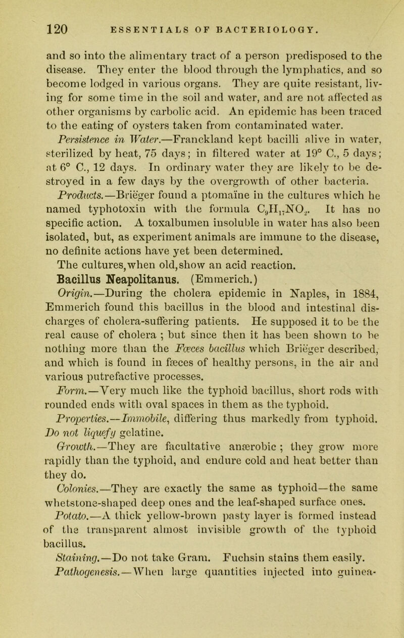 and so into the alimentary tract of a person predisposed to the disease. They enter the blood through the lymphatics, and so become lodged in various organs. They are quite resistant, liv- ing for some time in the soil and water, and are not affected as other organisms by carbolic acid. An epidemic has been traced to the eating of oysters taken from contaminated water. Persistence in Water.—Franckland kept bacilli alive in water, sterilized by heat, 75 days; in filtered water at 19° C., 5 days; at 6° C., 12 days. In ordinary water they are likely to be de- stroyed in a few days by the overgrowth of other bacteria. Products.—Brieger found a ptomaine in the cultures which he named typhotoxin with the formula Cyllj-NO^. It has no specific action. A toxalbumeii insoluble in water has also been isolated, but, as experiment animals are immune to the disease, no definite actions have yet been determined. The cultures, when old, show an acid reaction. Bacillus Neapolitanus. (Emmerich.) Origin.—During the cholera epidemic in itTaples, in 1884, Emmerich found this bacillus in the blood and intestinal dis- charges of cholera-suffering patients. He supposed it to be the real cause of cholera ; but since then it has been shown to he nothing more than the Fceces bacillus which Brieger described, and which is found in fieces of healthy persons, in the air and various putrefactive processes. Form.—Very much like the typhoid bacillus, short rods with rounded ends with oval spaces in them as the typhoid. Properties.—Immobile., differing thus markedly from typhoid. Do not liquefy gelatine. Growth.—They are facultative anaerobic ; they grow more rapidly than the typhoid, and endure cold and heat better than they do. Colonies.—They are exactly the same as typhoid—the same whetstone-shaped deep ones and the leaf-shaped surface ones. Potato.—A thick yellow-brown pasty layer is formed instead of the transparent almost invisible growth of the typhoid bacillus. Staining.—Do not take Gram. Fuchsin stains them easily. Pathogenesis. — When large quantities injected into guinea-