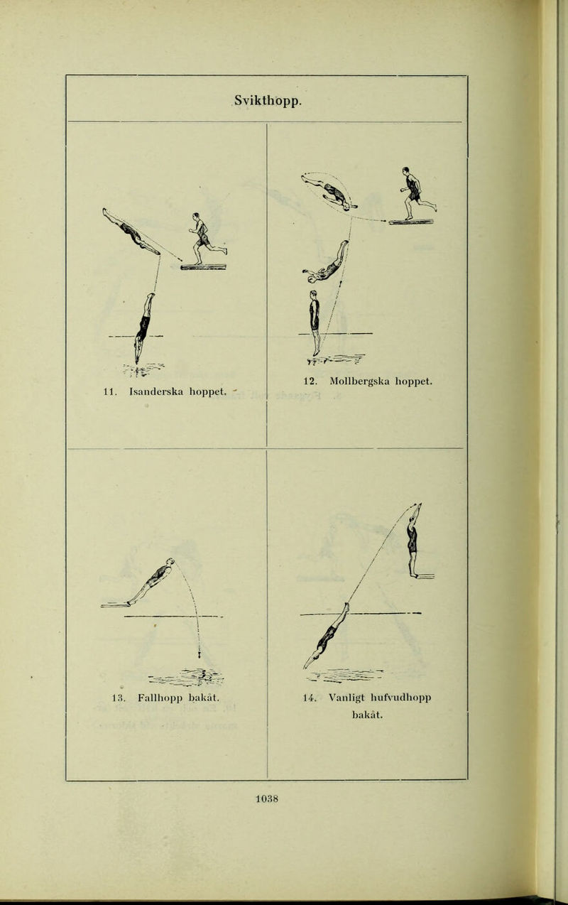 't- 11. Isanderska hoppet. ' 12. Mollbergska hoppet. j. /' 1 r 13. Fallhopp bakat. 14. Vanligt hufvudhopp hakat.