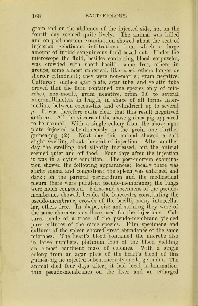 groin and on the abdomen of the injected side, but on the fourth day seemed quite lively. The animal was killed and on post-mortem examination showed about the seat of injection gelatinous infiltrations from which a large amount of turbid sanguineous fluid oozed out. Under the microscope the fluid, besides containing blood corpuscles, was crowded with short bacilli, some free, others in groups, some almost spherical, like cocci, others longer or shorter cylindrical; they were non-motile; gram negative. Cultures: surface agar plate, agar tube, and gelatin tube proved that the fluid contained one species only of mic- robes, non-motile, gram negative, from 0.8 to several micromillimeters in length, in shape of all forms inter- mediate between coccus-like and cylindrical up to several fi. It was therefore quite clear that this result negatived anthrax. All the viscera of the above guinea-pig appeared to be normal. With a single colony from the above agar plate injected subcutaneously in the groin one further guinea-pig (2). Next day this animal showed a soft slight swelling about the seat of injection. After another day the swelling had slightly increased, but the animal seemed quiet and off food. Four days after the injection it was in a dying condition. The post-mortem examina- tion showed the following appearances: locally there was slight edema and congestion; the spleen was enlarged and dark; on the parietal pericardium and the mediastinal pleura there were purulent pseudo-membranes; the lungs were much congested. Films and specimens of the pseudo- membranes showed, besides the leucocytes constituting the pseudo-membrane, crowds of the bacilli, many intracellu- lar, others free. In shape, size and staining they were of the same characters as those used for the injections. Cul- tures made of a trace of the pseudo-membrane yielded pure cultures of the same species. Film specimens and cultures of the spleen showed great abundance of the same microbes. The heart’s blood contained the microbe also in large numbers, platinum loop of the blood yielding an almost confluent mass of colonies. With a single colony from an agar plate of the heart’s blood of this guinea-pig he injected subcutaneously one large rabbit. The animal died four days after; it had local inflammation, thin pseudo-membranes on the liver and an enlarged