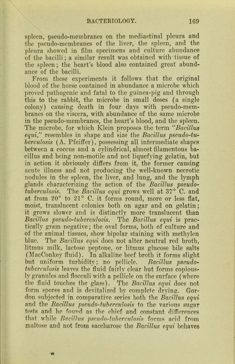 spleen, pseudo-membranes on the mediastinal pleura and the pseudo-membranes of the liver, the spleen, and the pleura showed in film specimens and culture abundance of the bacilli; a similar result was obtained with-tissue of the spleen; the heart’s blood also contained great abund- ance of the bacilli. From these experiments it follows that the original blood of the horse contained in abundance a microbe which proved pathogenic and fatal to the guinea-pig and through this to the rabbit, the microbe in small doses (a single colony) causing death in four days with pseudo-mem- branes on the viscera, with abundance of the same microbe in the pseudo-membranes, the heart’s blood, and the spleen. The microbe, for which Klein proposes the term Bacillus equi” resembles in shape and size the Bacillus pseudo-tu- berculosis (A. Pfeiffer), possessing all intermediate shapes between a coccus and a cylindrical, almost filamentous ba- cillus and being non-motile and not liquefying gelatin, but in action it obviously differs from it, the former causing acute illness and not producing the well-known necrotic nodules in the spleen, the liver, and lung, and the lymph glands characterizing the action of the Bacillus pseudo- tuberculosis. The Bacillus equi grows well at 37° C. and at from 20° to 21° C. it forms round, more or less flat, moist, translucent colonies both on agar and on gelatin; it grows slower and is distinctly more translucent than Bacillus pseudo-tuberculosis. The Bacillus equi is prac- tically gram negative; the oval forms, both of culture and of the animal tissues, show bipolar staining with methvlen blue. The Bacillus equi does not alter neutral red broth, litmus milk, lactose peptone, or litmus glucose bile salts (MacConkey fluid). In alkaline beef broth it forms slight but uniform turbidity; no pellicle. Bacillus pseudo- tuberculosis leaves the fluid fairly clear but forms copious- ly granules and flocculi with a pellicle on the surface (where the fluid touches the glass). The Bacillus equi does not form spores and is devitalized by complete drying. Gor- don subjected in comparative series both the Bacillus equi and the Bacillus pseudo-tuberculosis to the various sugar tests and he found as the chief and constant differences that while Bacillus pseudo-tuberculosis forms acid from maltose and not from saccharose the Bacillus equi behaves