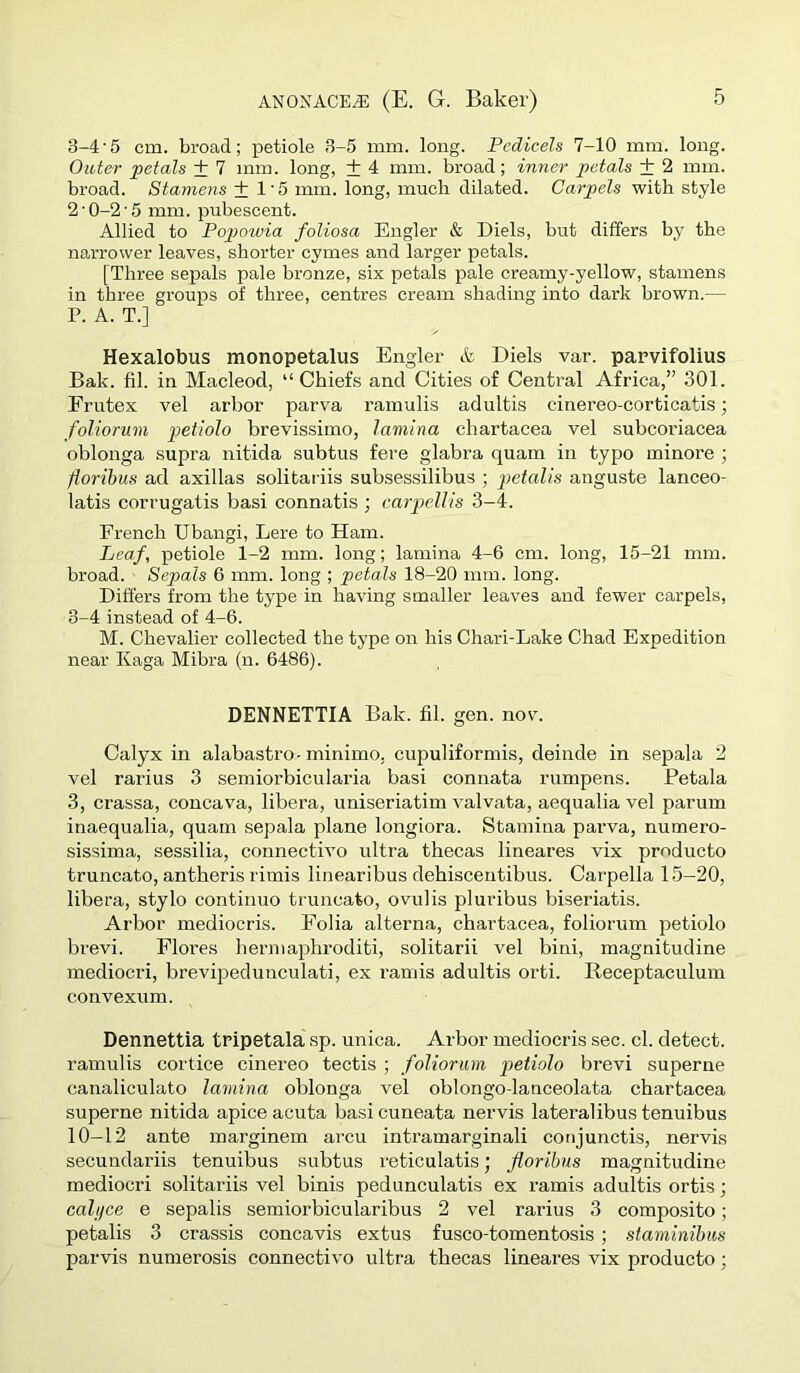 3-4‘5 cm. broad; petiole 3-5 mm. long. Pedicels 7-10 mm. long. Outer petals + 7 mm. long, + 4 mm. broad ; inner petals + 2 mm. broad. Stamens + 1'5 mm. long, much dilated. Carpels with style 2'0-2 5 mm. pubescent. Allied to Pop)owia foliosa Engler & Diels, but differs by the narrower leaves, shorter cymes and larger petals. [Three sepals pale bronze, six petals pale creamy-yellow, stamens in three groups of three, centres cream shading into dark brown.— P. A. T.] Hexalobus monopetalus Engler & Diels var. parvifolius Bak. fil. in Macleod, “ Chiefs and Cities of Central Africa,” 301. Frutex vel arbor parva ramulis adultis cinereo-corticatis; foliorum petiolo brevissimo, lamina chartacea vel subcoi’iacea oblonga supra nitida subtus fere glabra quam in typo minore ; fiorihus ad axillas solitariis subsessilibus ; jmtalis anguste lanceo- latis corrugatis basi connatis ; carpx’llis 3-4. French Ubangi, Lere to Ham. Leaf, petiole 1-2 mm. long; lamina 4-6 cm. long, 15-21 mm. broad. Sepals 6 mm. long ; petals 18-20 mm. long. Differs from the type in having smaller leaves and fewer carpels, 3-4 instead of 4-6. M. Chevalier collected the type on his Chari-Lake Chad Expedition near Kaga Mibra (n. 6486). DENNETTIA Bak. fil. gen. nov. Calyx in alabastro-minimo, cupuliformis, deinde in sepala 2 vel rarius 3 semiorbicularia basi connata rumpens. Petala 3, crassa, concava, libera, uniseriatim valvata, aequalia vel parum inaequalia, quam sepala plane longiora. Stamina parva, numero- sissima, sessilia, connective ultra thecas lineares vix producto truncate, antheris rimis linearibus dehiscentibus. Carpella 15-20, libera, stylo continue truncate, ovulis pluribus biseriatis. Arbor mediocris. Folia alterna, chartacea, foliorum petiolo bi'evi. Flores hermaphroditi, solitarii vel bini, magnitudine mediocri, brevipedunculati, ex raniis adultis orti. Receptaculum convexum. Dennettia tripetala sp. unica. Arbor mediocris sec. cl. detect, ramulis cortice cinereo tectis ; foliorum petiolo brevi superne canaliculate lamina oblonga vel oblongo-lanceolata chartacea superne nitida apice acuta basi cuneata nervis lateralibus tenuibus 10-12 ante marginem arcu intramarginali conjunctis, nervis secundariis tenuibus subtus I'eticulatis; fiorihus magnitudine mediocri solitariis vel binis pedunculatis ex ramis adultis ortis; calijce e sepalis semiorbicularibus 2 vel rarius 3 composite; petalis 3 crassis concavis extus fusco-tomentosis; staminibus parvis numerosis connective ultra thecas lineares vix producto;