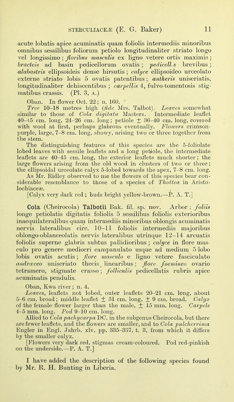 acute lobatis apice acuminatis quam foliolis intermediis minoribus omnibus sessilibus foliorum petiolo longitudinaliter striato longo vel longissimo; jioribus masculis ex ligno vetere ortis maximis; hracteis ad basin pedicellorum ovatis; pedicell.s brevibus ; alabastris ellipsoideis dense hirsutis; calyce ellipsoideo urceolato externe striato lobis 5 ovatis patentibus; antheris uniseriatis, longitudinaliter debiscentibus ; carpellis 4, fnlvo-tomentosis stig- matibus crassis. (PI. 3, a.) Oban. In flower Oct. 22 ; n. 160. ' Tree 10-18 metres high {fide Mrs. Talbot). Leaves somewhat similar to those of Cola digitata Masters. Intermediate leaflet 40-15 cm. long, 24-26 cm. long; petiole + 36-40 cm. long, covered with wool at first, perhaps glabrous eventually. Floivers crimson- purple, large, 7-8 cm. long, showy, arising two or three together from the stem. The distinguishing features of this species are the 5-foliolate lobed leaves with sessile leaflets and a long petiole, the intermediate leaflets are 40-45 cm. long, the exterior leaflets much shorter; the large flowers arising from the old wood in clusters of two or three; the ellipsoidal urceolate calyx 5-lobed towards the apex, 7-8 cm. long. As Mr. Ridley observed to me the flowers of this species bear con- siderable resemblance to those of a species of Thottea in Aristo- lochiaceae. [Calyx very dark red ; buds bright yellow-brown.—P. A. T.] Cola (Cbeirocola) Talbotii Bak. til. sp. nov. Arbor ; foliis longe petiolatis digitalis foliolis 5 sessilibus foliolis exterioribus inaequilateralibus quam intermediis minoribus oblongis acuminatis nervis lateralibus circ. 10-11 foliolis intermediis majoribus oblongo-oblanceolatis nervis lateralibus utrinque 12—14 arcuatis foliolis superne glabris subtus pallidioribus; calyce in flore mas- culo pro genere mediocri campanulato usque ad medium 5-lobo lobis ovatis acutis; flore masculo e ligno vetere fasciculato androcceo uniseriato thecis linearibus; flore foemineo ovario tetramero, stigmate crasso; folliculis pedicellatis rubris apice acuminatis pendulis. Oban, Kwa river ; n. 4. Leaves, leaflets not lobed, outer leaflets 20-21 cm. long, about 5-6 cm. broad; middle leaflet + 31 cm. long, + 9 cm. broad. Calyx of the female flower larger than the male, + 15 mm. long. Carpels 4-5 mm. long. Pod 9-10 cm. long. Allied to Colapacliycarpa DC. in the subgenus Cheirocola, but there are fewer leaflets, and the flowers are smaller, and to Cola pulclierrima Engler in Engl. Jahrb. xlv. pp. 335-337, t. 3, from which it differs by the smaller calyx. [Flowers very dark red, stigmas cream-coloured. Pod red-pinkish on the underside.—P. A. T.] I have added the description of the following species found by Mr. E.. H. Bunting in Liberia.
