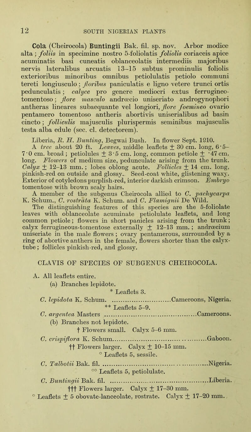 Cola (Cheirocola) Buntingii Bak. fil. sp. nov. Arbor modice alta; foliis in specimine nostro 5-foliolatis foUolis coriaceis apice acuminatis basi cuneatis oblanceolatis intermediis majoribus nervis lateralibus arcuatis 13-15 subtus prominulis foliolis exterioribus minoribus omnibus petiolulatis petiolo communi tereti longiusculo; Jioribus paniculatis e ligno vetere trunci ortis pedunculatis; calyce pro genere mediocri extus ferrugineo- tomentoso; flore masculo androecio uniseriato androgynophori antberas lineares subaequante vel longiori, flore foemineo ovario pentamero tomentoso antberis abortivis uniserialibus ad basin cincto; folliculis majusculis plurispermis seminibus majusculis testa alba edule (sec. cl. detectorem). Liberia, B. H. Bunting, Begwai Bush. In flower Sept. 1910. A tree about 20 ft. Leaves, middle leaflets + 30 cm. long, 6‘5- 7'0 cm. broad ; petiolules + 3'5 cm. long, common petiole + ’47 cm. long. Flowers of medium size, pedunculate arising from the trunk. Calyx + 12-13 mm.; lobes oblong acute. Follicles + 14 cm. long, pinkish-red on outside and glossy. Seed-coat white, glistening waxy. Exterior of cotyledons purplish-red, interior darkish crimson. Embryo tomentose with brown scaly hairs. A member of the subgenus Cheirocola allied to G. pachycarpa K. Schum., C. rostrata K. Schum. and C. Flamignii Be Wild. The distinguishing features of this species are the 5-foliolate leaves with oblanceolate acuminate petiolulate leaflets, and long common petiole; flowers in short panicles arising from the trunk; calyx ferrugineous-tomentose externally ± 12-13 mm. ; androecium uniseriate in the male flowers ; ovary pentamerous, surrounded by a ring of abortive anthers in the female, flowers shorter than the calyx- tube ; follicles pinkish-red, and glossy. CLAVIS OF SPECIES OF SUBGENUS CHEIEOCOLA. A. All leaflets entire. (a) Branches lepidote. * Leaflets 3. C. lepidota K. Schum Cameroons, Nigeria. ** Leaflets 5-9. C. argentea Masters Cameroons. (b) Branches not lepidote. t Flowers small. Calj'x 5-6 mm. C. crispiflora K. Schum Gaboon. tt Flowers larger. Calyx + 10-15 mm. ° Leaflets 5, sessile. C. Talhotii Bak. fil Nigeria. °° Leaflets 5, petiolulate. C. Buntingii Bak. fil Liberia. ttt Flowers larger. Calyx ± 17-30 mm. ° Leaflets + 5 obovate-lanceolate, rostrate. Calyx + 17-20 mm.