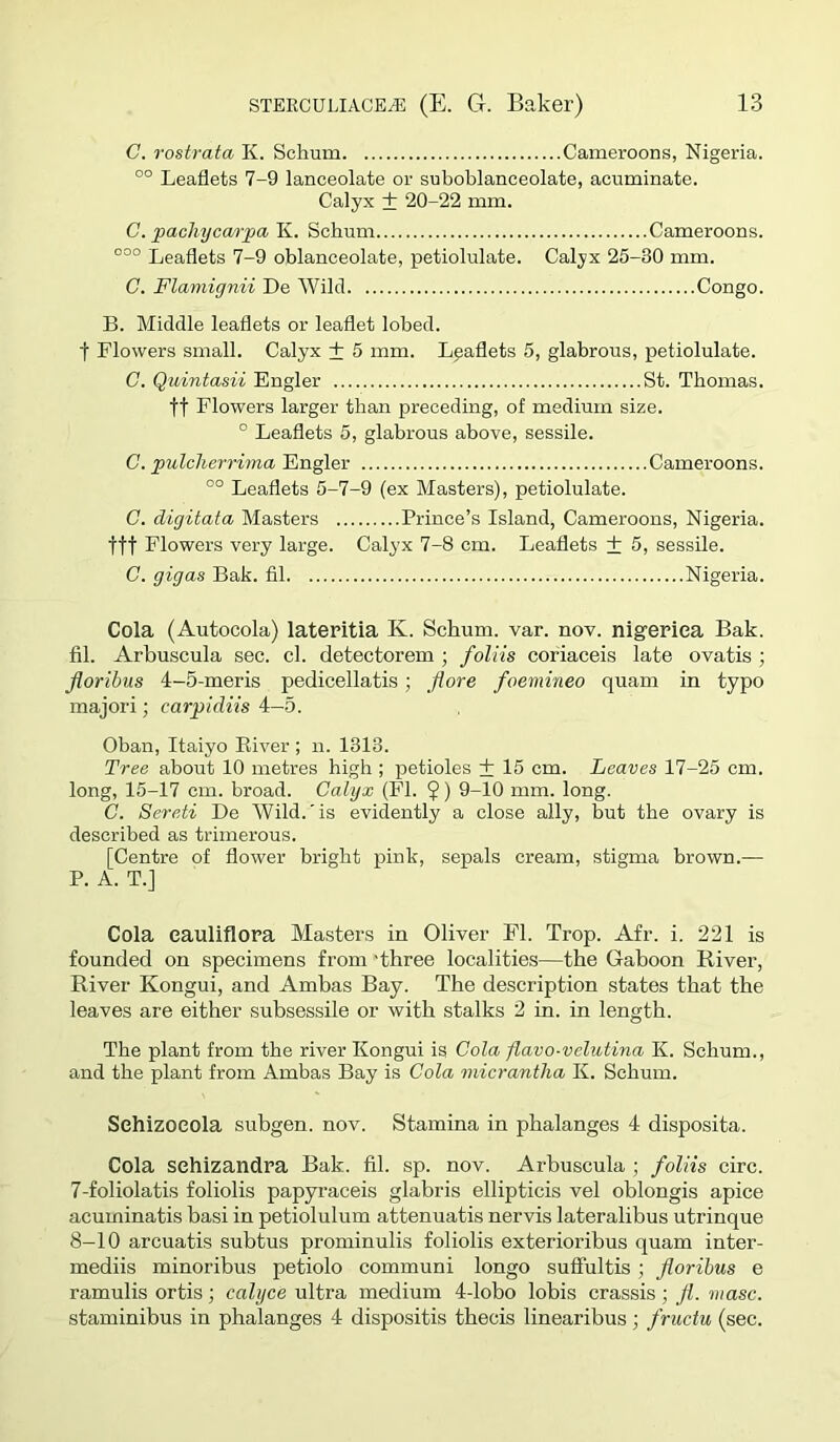 C. rostrata Iv. Schum Cameroons, Nigeria. °° Leaflets 7-9 lanceolate or suboblanceolate, acuminate. Calyx + 20-22 mm. C. pachycmpa K. Schum Cameroons. °°° Leaflets 7-9 oblanceolate, petiolulate. Calyx 25-30 mm. C. Flaniignii De Wild Congo. B. Middle leaflets or leaflet lobed. t Flowers small. Calyx + 5 mm. Leaflets 5, glabrous, petiolulate. G. Quintasii Engler St. Thomas. tt Flowers larger than preceding, of medium size. ° Leaflets 5, glabrous above, sessile. C. pulcherrima Engler Cameroons. °° Leaflets 5-7-9 (ex Masters), petiolulate. C. digitata Masters Prince’s Island, Cameroons, Nigeria. ttt Flowers very large. Calyx 7-8 cm. Leaflets + 5, sessile. C. gigas Bak. fil Nigeria. Cola (Autocola) lateritia K. Schum. var. nov. nigeriea Bak. fil. Arbuscula sec. cl. detectorem ; foliis coriaceis late ovatis ; Jloribus 4-5-meris pedicellatis; Jiore foemineo quam in typo majori; carpidiis 4—5. Oban, Itaiyo River ; n. 1313. Tree about 10 metres high ; petioles + 15 cm. Leaves 17-25 cm. long, 15-17 cm. broad. Calyx (FI. 5) 9-10 mm. long. C. Sereti De Wild.'is evidently a close ally, but the ovary is described as trimerous. [Centre of flower bright pink, sepals cream, stigma brown.— P. A. T.] Cola cauliflora Mastei’s in Oliver FI. Trop. Afr. i. 221 is founded on specimens from 'three localities—the Gaboon River, River Kongui, and Ambas Bay. The description states that the leaves are either subsessile or with stalks 2 in. in length. The plant from the river Kongui is Cola flavo-velutina K. Schum., and the plant from Ambas Bay is Cola micrantha K. Schum. Sehizoeola subgen. nov. Stamina in phalanges 4 disposita. Cola sehizandra Bak. fil. sp. nov. Arbuscula ; foliis circ. 7- foliolatis foliolis papyraceis glabris ellipticis vel oblongis apice acuminatis basi in petiolulum attenuatis nervis lateralibus utrinque 8- 10 arcuatis subtus prominulis foliolis exterioribus quam inter- mediis minoribus petiolo communi longo suffultis; floribus e ramulis ortis; calyce ultra medium 4-lobo lobis crassis; fl. masc. staminibus in phalanges 4 dispositis thecis linearibus; fructu (sec.