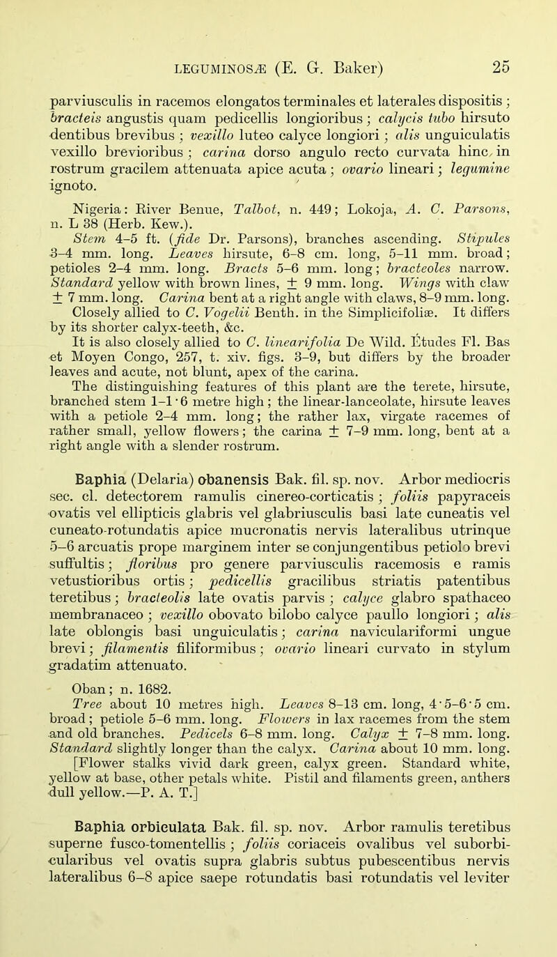 parviusculis in racemos elongates terminales et laterales dispositis ; bracteis angustis quam pedicellis longioribus; calycis tuho hirsute dentibus brevibus ■, vexillo luteo calyce longiori; alls unguiculatis vexillo brevioribus ; carina dorse angulo recto curvata bine, in rostrum gracilem attenuata apice acuta; ovario lineari; legumine ignoto. Nigeria: Eiver Benue, Talbot, n. 449; Lokoja, A. C. Parsons, n. L 38 (Herb. Kew.). Stem 4-5 ft. {fide Dr. Parsons), branches ascending. Stipules 3-4 mm. long. Leaves hirsute, 6-8 cm. long, 5-11 mm. broad; petioles 2-4 mm. long. Bracts 5-6 mm. long; hracteoles narrow. Standard yellow with brown lines, + 9 mm. long. Wings with claw + 7 mm. long. Carina bent at a right angle with claws, 8-9 mm. long. Closely allied to C. Vogelii Benth. in the Simplicifoli®. It differs by its shorter calyx-teeth, &c. It is also closely allied to C. linearifolia De Wild. Etudes FI. Bas et Moyen Congo, 257, t. xiv. figs. 3-9, but differs by the broader leaves and acute, not blunt, apex of the carina. The distinguishing features of this plant are the terete, hirsute, branched stem 1-1‘6 metre high ; the linear-lanceolate, hirsute leaves with a petiole 2-4 mm. long; the rather lax, virgate racemes of rather small, yellow flowers; the carina + 7-9 mm. long, bent at a right angle with a slender rostrum. Baphia (Delaria) o-banensis Bak. fil. sp. nov. Arbor mediocris sec. cl. detectorem ramulis cinereo-corticatis ; foliis papyraceis •ovatis vel ellipticis glabris vel glabriusculis basi late cuneatis vel cuneato-rotundatis apice mucronatis nervis lateralibus utrinque 5-6 arcuatis prope marginem inter se conjungentibus petiole brevi suffultis; floribus pro genere parviusculis racemosis e ramis vetustioribus ortis; pedicellis gracilibus striatis patentibus teretibus; hracleoUs late ovatis parvis ; calyce glabro spatbaceo membranaceo ; vexillo obovato bilobo calyce paullo longiori; alis late oblongis basi unguiculatis; carina naviculariformi ungue brevi; filamentis filiformibus; ovario lineari curvato in stylum gradatim attenuate. Oban; n. 1682. Tree about 10 metres high. Beawes 8-13 cm. long, 4‘5-6'5 cm. broad; petiole 5-6 mm. long. Flowers in lax racemes from the stem and old branches. Pedicels 6-8 mm. long. Calyx + 7-8 mm. long. Standard slightly longer than the calyx. Carina about 10 mm. long. [Flower stalks vivid dark green, calyx green. Standard white, yellow at base, other petals white. Pistil and filaments green, anthers ■dull yellow.—P. A. T.] Baphia orbieulata Bak. fil. sp. nov. Arbor ramulis teretibus superne fusco-tomentellis ; foliis coriaceis ovalibus vel suborbi- cularibus vel ovatis supra glabris subtus pubescentibus nervis lateralibus 6-8 apice saepe rotundatis basi rotundatis vel leviter