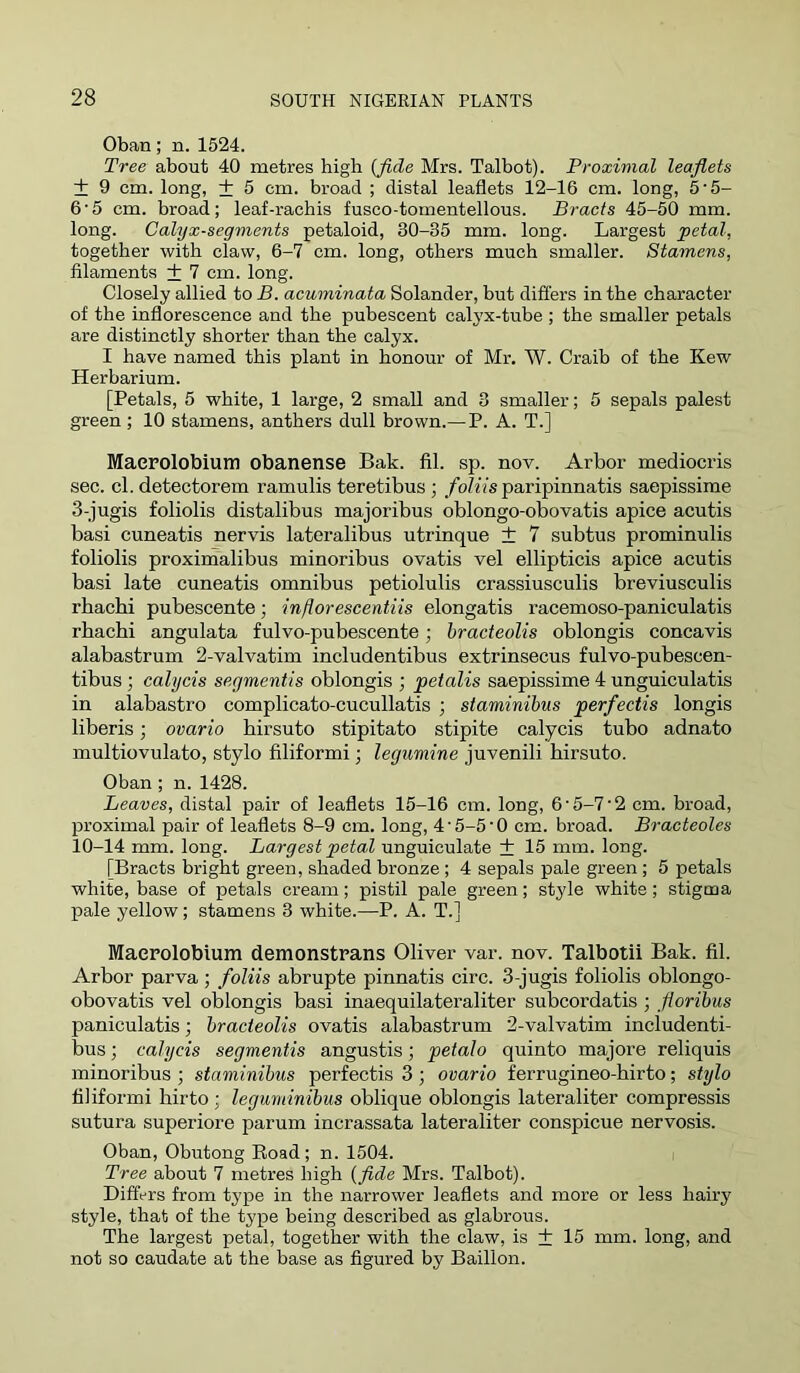 Oban; n. 1524. Tree about 40 metres high {fide Mrs. Talbot). Proximal leafiets ± 9 cm. long, + 5 cm. broad ; distal leaflets 12-16 cm. long, 5‘5- 6'5 cm. broad; leaf-rachis fusco-toinentellous. Bracts 45-50 mm. long. Calyx-segments petaloid, 30-35 mm. long. Largest petal, together with claw, 6-7 cm. long, others much smaller. Stamens, filaments + 7 cm. long. Closely allied to B. acuminata Solander, but differs in the character of the inflorescence and the pubescent calyx-tube ; the smaller petals are distinctly shorter than the calyx. I have named this plant in honour of Mr. W. Craib of the Kew Herbarium. [Petals, 5 white, 1 large, 2 small and 3 smaller; 5 sepals palest green ; 10 stamens, anthers dull brown.— P. A. T.] Maerolobium obanense Bak. fil. sp. nov. Arbor mediocris sec. cl. detectorem ramulis teretibus ; /oZrfs paripinnatis saepissime 3-jugis foliolis distalibus majoribus oblongo-obovatis apice acutis basi cuneatis nervis lateralibus utrinque ± 7 subtus prominulis foliolis proxim'alibus minoribus ovatis vel ellipticis apice acutis basi late cuneatis omnibus petiolulis crassiusculis breviusculis rhachi pubescente; inflorescentiis elongatis racemoso-paniculatis rbachi angulata fulvo-pubescente; hracteolis oblongis concavis alabastrum 2-valvatim includentibus extrinsecus fulvo-pubescen- tibus ; calycis segmentis oblongis ; petalis saepissime 4 unguiculatis in alabastro complicato-cucullatis ; staminibus perfectis longis liberis; ovario hirsute stipitato stipite calycis tube adnato multiovulato, stylo filiformi; legumine juvenili hirsute. Oban ; n. 1428. Leaves, distal pair of leaflets 15-16 cm. long, 6'5-7'2 cm. broad, proximal pair of leaflets 8-9 cm. long, 4'5-5'0 cm. broad. Bracteoles 10-14 mm. long. Largest petal unguiculate + 15 mm. long. [Bracts bright green, shaded bronze ; 4 sepals pale green ; 5 petals white, base of petals cream; pistil pale green; style whits; stigma pale yellow; stamens 3 white.—P. A. T.] Maerolobium demonstrans Oliver var. nov. Talbotii Bak. fil. Arbor parva; foliis abrupte pinnatis circ. 3-jugis foliolis oblongo- obovatis vel oblongis basi inaequilateraliter subcordatis ; floribus paniculatis; bracteolis ovatis alabastrum 2-valvatim includenti- bus ; calycis segmentis angustis; petalo quinto majore reliquis minoribus ; staminibus perfectis 3; ovario ferrugineo-hirto; stylo filiformi hirto; leguminibus oblique oblongis lateraliter compressis sutura superiore parum incrassata lateraliter conspicue nervosis. Oban, Obutong Eoad ; n. 1504. Tree about 7 metres high {fide Mrs. Talbot). Differs from type in the narrower leaflets and more or less hairy style, that of the type being described as glabrous. The largest petal, together with the claw, is + 15 mm. long, and not so caudate at the base as figured by Baillon.