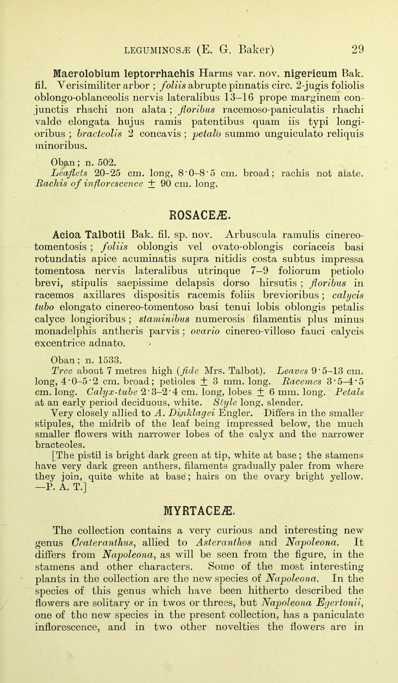 Maerolobium leptorrhaehis Harms var. nov. nig’erieum Bak. bl. Verisimiliter arbor ; foliis abrupte pinnatis circ. 2-jugis foliolis oblongo-oblanceolis nervis lateralibus 13-16 prope marginem con- Junctis rbachi non alata; florihus racemoso-paniculatis rhacbi valde elongata hujus ramis patentibus quam iis typi longi- oribus ; hracteolis 2 concavis; petal'o summo unguiculato reliquis ininoribus. Oby,n; n. 502. Leaflets 20-25 cm. long, 8'0-8’5 cm. broad; racbis not alate. Rachis of inflorescence + 90 cm. long. ROSACE.®. Aeioa Talbotii Bak. fil. sp. nov. Arbuseula ramulis cinereo- tomentosis; foliis oblongis vel ovato-oblongis coriaceis basi rotundatis apice acuminatis supra nitidis costa subtus impressa tomentosa nervis lateralibus utrinque 7-9 foliorum petiole brevi, stipulis saepissime delapsis dorso birsutis; floribus in racemes axillares dispositis racemis foliis brevioribus; cahjcis tubo elongate cinereo-tomentoso basi tenui lobis oblongis petalis calyce longioribus; staninibus numerosis filamentis plus minus monadelphis antheris parvis; ovario cinereo-villoso fauci calycis excentrice adnato. Oban ; n. 1533. Tree about 7 metres high (flde Mrs. Talbot). Leaves 9'5-13 cm. long, 4'0-5’2 cm. broad; petioles + 3 mm. long. Racemes 3‘5-4‘5 cm. long. Calyx-tube 2'3-2'4 cm. long, lobes + 6 mm. long. Petals at an early period deciduous, white. Style long, slender. Very closely allied to A. Di-nhlagei Engler. Differs in the smaller stipules, the midrib of the leaf being impressed below, the much smaller flowers with narrower lobes of the calyx and the narrower bracteoles. [The pistil is bright dark green at tip, white at base; the stamens have very dark green anthers, filaments gradually paler from where they join, quite white at base; hairs on the ovary bright yellow. —P. A. T.] MYRTACE®. The collection contains a very curious and interesting new genus Crateranthus, allied to Asteranthos and Napoleona. It differs from Napoleona, as will be seen from the figure, in the stamens and other characters. Some of the most interesting plants in the collection are the new species of Napoleona. In the species of this genus which have been hitherto described the flowers are solitary or in twos or threes, but Napoleona Egertonii, one of the new species in the present collection, has a paniculate inflorescence, and in two other novelties the flowers are in