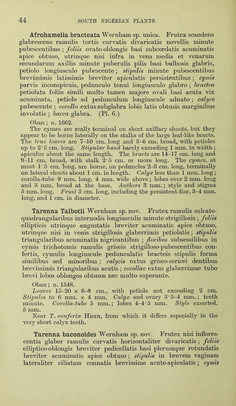 Afpohamelia braeteata Wernham sp. unica. Frutex scandens glabx’escens ramulis tortis curvatis divaricatis novellis minute pubescentibus ; foliis ovato-oblongis basi subcordatis acuminatis apice obtuso, utrinque nisi infra in vena media et venarum secundarum axillis minute puberulis pilis basi bulbosis glabris, petiole longiusculo pubescente; stijpulis minute pubescentibus brevissimis latissimis breviter apiculatis persistentibus; cymis parvis inconspicuis, pedunculo tenui longiusculo glabro ; bractea petiolata foliis simili multo tamen majore ovali basi acuta vix acuminata, petiolo ad pedunculum longiusculo adnato; calyce pubescente ; corolla extus subglabra lobis latis obtusis marginibus involutis ; hacca glabra. (PI. 6.) Oban ; n. 1662. The cymes are really tei-minal on short axillary shoots, but they appear to be borne laterally on the stalks of the large leaf-like bracts. The true leaves are 7-10 cm. long and 3-6 cm. broad, with petioles up to 2‘5 cm. long. Stipular hand barely exceeding 1 mm. in width ; apiculus about the same length. The bracts are 14-17 cm. long and 9-11 cm. broad, with stalk 2’5 cm. or more long. The cymes, at most 1'5 cm. long, are borne, on peduncles 2-3 cm. long, terminally on lateral shoots about 1 cm. in length. Calyx less than 1 mm. long; corolla-tube 9 mm. long, 4 mm. wide above; lobes over 2 mm. long and 3 mm. broad at the base. Anthers 3 mm.; style and stigma 5 mm. long. Fruit 3 cm. long, including the persistent disc, 3-4 mm. long, and 1 cm. in diameter. Tarenna Talbotii Wernham sp. nov. Frutex ramulis sulcato- quadrangularibus internodis longiusculis minute strigillosis ; foliis ellipticis utrinque angustatis breviter acuminatis apice obtuso, utrinque nisi in venis strigillosis glaberrimis petiolatis; stipulis triangularibus acuminatis nigricantibus ; floribus subsessilibus in cymis trichotomis ramulis griseis strigilloso-pubescentibus con- fertis, cymulis longiusculo pedunculatis bracteis stipulis forma similibus sed minoribus; calycis extus griseo-sericei dentibus brevissimis triangularibus acutis; corollas extus glaberrimae tubo brevi lobos oblongos obtusos nec multo superante. Oban; n.1548. Leaves 15-20 x 6-8 cm., with petiole not exceeding 2 cm. Stipules to 6 mm. x 4 mm. Calyx and ovary 3‘5-4 mm.; teeth minute. CoroUa-tuhe 5 mm.; lobes 4-4'5 mm. Style exserted, 5 mm. Near T. conferta Hiern, from which it differs especially in the very short calyx-teeth. Tarenna baconoides Wernham sp. nov. Frutex nisi inflores- centia glaber ramulis curvatis horizontaliter divaricatis; foliis elliptico-oblongis breviter pedicellatis basi plerumque rotundatis breviter acuminatis apice obtuso; stipulis in brevem vaginam lateraliter ciliatam connatis brevissime acute-apiculatis; cymis