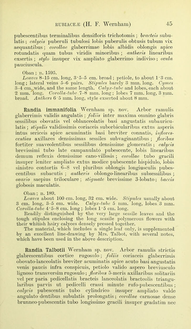 pubescentibus terminalibus densifloi’is tricbotomis ; hracteis subu- latis; calycis puberuli tubulosi lobis puberulis obtusis tubum vix aequantibus; corollae glaberrimae lobis albidis oblongis apice rotundatis quam tubus viridis minoribus; antlteris linearibus exsertis ; styio insuper vix ampliato glaberrimo indiviso; ovula pauciuscula. Oban ; n.1595. Leaves 8-15 cm. long, 3 • 5-5 cm. broad ; petiole, to about 1 • 3 cm. long; lateral veins 5-6 pairs. Stijniles barely 3 mm. long. Cymes 3-4 cm^wide, and the same length. Calyx-tuhe and lobes, each about 2 mm. long. Corolla-tube 7-8 mm. long; lobes 7 mm. long, 3 mm. broad. Anthers 6'5 mm. long, style exserted about 8 mm. Randia immanifolia Wernham sp. nov. Arbor ramulis glaberrimis validis angulatis ; foliis inter maxima omnino glabris sessilibus obovatis vel oblanceolatis basi angustatis subauricu- latis ; stipulis validissimis coriaceis suborbicularibus extus asperis intus sericeis apice acuminatis basi breviter connatis, inflores- ceniias axillares densissimas sessiles subvaginantibus; fiorihus fortiter suaveolentibus sessilibus densissime glomeratis ; calycis brevissimi tubo late campanulato pubescente, lobis linearibus demum rellexis densissime cano-villosis; corollae tubo gracili insuper leniter ampliato extus modice pubescente hispidulo, lobis sinistro contortis 6-8 vel pluribus oblongis longiusculis pubes- centibus subacutis ; antlieris oblongo-1 inearibus subsessilibus ; ovario saepius triloculare; stigniate brevissime 3-lobato; haccis globosis maculatis. Oban; n. 189. Leaves about 100 cm. long, 32 cm. wide. Stipules usually about 3 cm. long, 3-5 cm. wide. Calyx-tuhe 5 mm. long, lobes 3 mm. Corolla-tiibe 4‘5-8 cm. long ; lobes 1'5 cm. long. Readily distinguished by the very large sessile leaves and the tough stipules enclosing the long sessile polymerous flowers with their whitish h.airy calyces densely pressed together. The material, which includes a single leaf only, is supplemented by an excellent line-drawing by Mrs. Talbot, with several notes, which have been used in the above description. Randia Talbotii Wernham sp. nov. Arbor ramulis strictis glabrescentibus cortice rugosulo; foliis coriaceis glaberrimis obovato-lanceolatis breviter acuminatis apice acuto basi angustatis venis paucis infra conspicuis, petiolo valido aspero breviusculo lignoso transversim rugosulo; florihits 5-meris axillaribus solitariis vel per paria pedicellatis bracteis lanceolatis bracteolis triangu- laribus parvis ut pedicelli crassi minute rufo-pubescentibus; calycis pubescentis tubo cylindrico insuper ampliato valde angulato dentibus subulatis prolongatis; corollae carnosae dense brunneo-pubescentis tubo longissimo gracili insuper gradatim nec