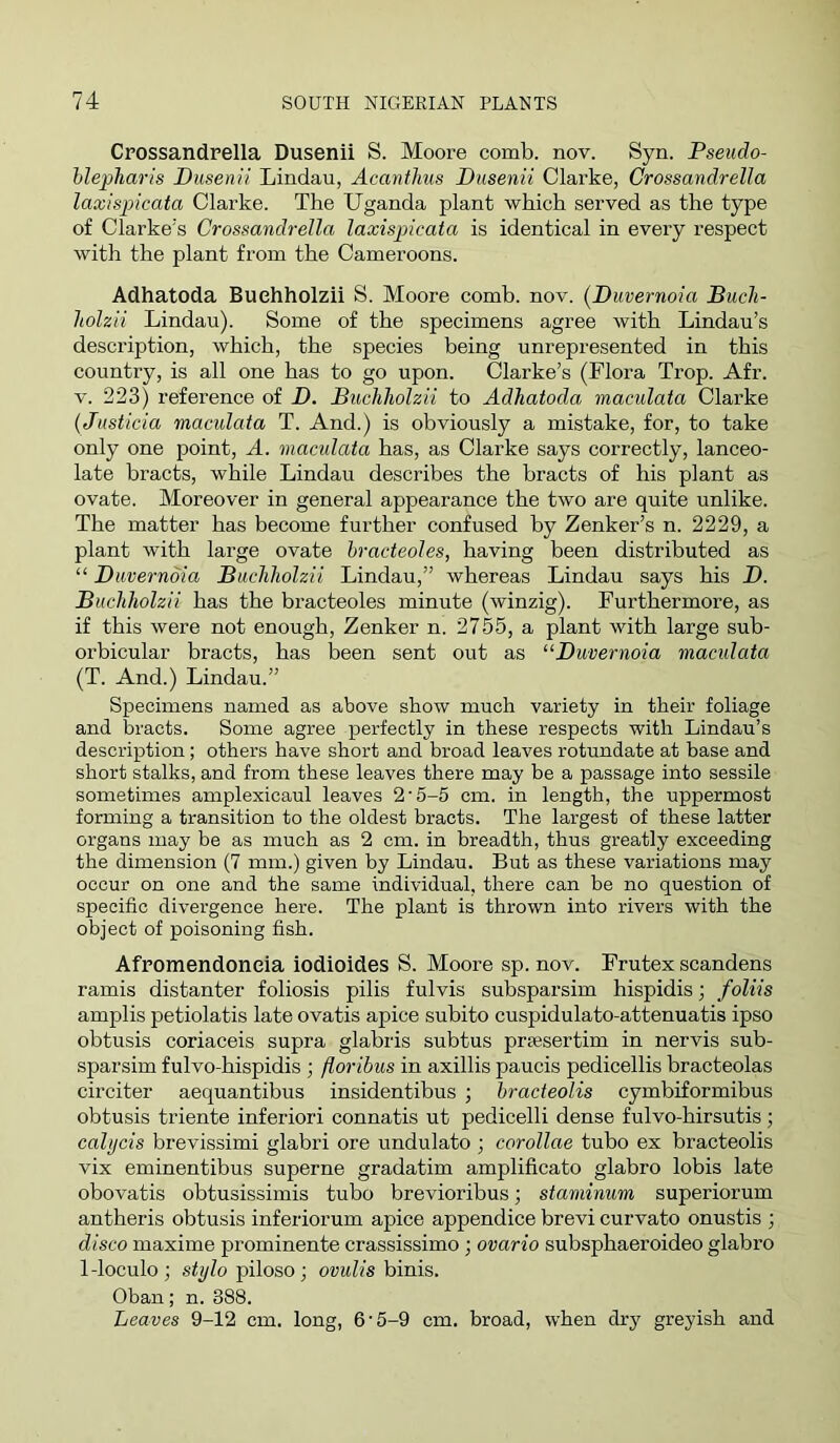 Crossandrella Dusenii S. Moore comb. nov. Syn. Pseudo- hlepharis Pusenii Lindau, Acanthus Pusenii Clarke, Crossandrella laxispicata Clarke. The Uganda plant which served as the type of Clarke's Crossandrella laxispicata is identical in every respect with the plant from the Cameroons. Adhatoda Buehholzii S. Moore comb. nov. {Puvernoia Bucli- holzii Lindau). Some of the specimens agree with Lindau’s description, which, the species being unrepresented in this country, is all one has to go upon. Clarke’s (Flora Trop. Afr. V. 223) reference of P. Buehholzii to Adhatoda, maculata Clarke (JustIda maculata T. And.) is obviously a mistake, for, to take only one point, A. maculata has, as Clarke says correctly, lanceo- late bracts, while Lindau describes the bracts of his plant as ovate. Moreover in general appearance the two are quite unlike. The matter has become further confused by Zenker’s n. 2229, a plant with large ovate hracteoles, having been distributed as “ Puvernoia Buehholzii Lindau,” whereas Lindau says his P. Buehholzii has the bracteoles minute (winzig). Furthermore, as if this were not enough, Zenker n. 2755, a plant with large sub- orbicular bracts, has been sent out as “Puvernoia maculata (T. And.) Lindau.” Specimens named as above show much variety in their foliage and bracts. Some agree perfectly in these respects with Lindau’s description; others have short and broad leaves rotundate at base and short stalks, and from these leaves there may be a passage into sessile sometimes amplexicaul leaves 2'5-5 cm. in length, the uppermost forming a transition to the oldest bracts. The largest of these latter organs may be as much as 2 cm. in breadth, thus greatly exceeding the dimension (7 mm.) given by Lindau. But as these variations may occur on one and the same individual, there can be no question of specific divergence here. The plant is thrown into rivers with the object of poisoning fish. Afromendoneia iodioides S. Moore sp. nov. Frutex scandens ramis distanter foliosis pilis fulvis subsparsim hispidis; foliis amplis petiolatis late ovatis apice subito cuspidulato-attenuatis ipso obtusis coriaceis supra glabris subtus prsesertim in nervis sub- sparsim fulvo-hispidis ; floribus in axillis paucis pedicellis bracteolas circiter aequantibus insidentibus ; hracteolis cymbiformibus obtusis triente inferiori connatis ut pedicelli dense fulvo-hirsutis; calycis brevissimi glabri ore undulato ; corollae tubo ex bracteolis vix eminentibus superne gradatim amplificato glabro lobis late obovatis obtusissimis tubo brevioribus; staminum superiorum antheris obtusis inferiorum apice appendice brevi curvato onustis ; disco maxime prominente crassissimo; ovario subsphaeroideo glabro 1-loculo; stylo piloso; ovulis hinis. Oban; n. 388. Leaves 9-12 cm. long, 6'5-9 cm. broad, when dry greyish and