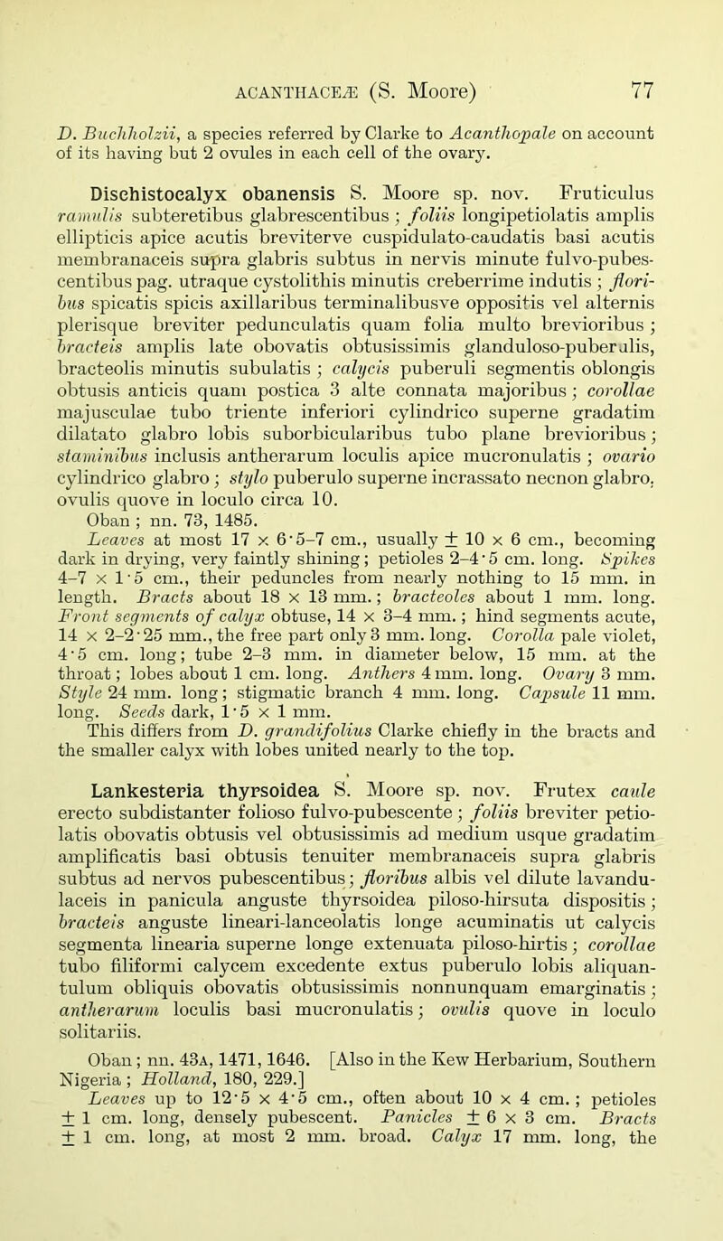 D. Bucliholzii, a species referred by Clarke to Acanthopale on account of its having but 2 ovules in each cell of the ovary. Disehistoealyx obanensis S. Moore sp. nov. Fruticulus ramulis subteretibus glabrescentibus ; foliis longipetiolatis amplis ellipticis apice acutis breviterve cuspidulato-caudatis basi acutis membranaceis supra glabris subtus in nervis minute fulvo-pubes- centibus pag. utraque cystolithis minutis creberrime indutis ; flori- hus spicatis spicis axillaribus terminalibusve oppositis vel alternis plerisque breviter pedunculatis quain folia multo brevioribus ; hracteis amplis late obovatis obtusissimis glanduloso-puberalis, bracteolis minutis subulatis ; calycis puberuli segmentis oblongis obtusis anticis quam postica 3 alte connata majoribus; corollae majusculae tubo triente inferiori cylindrico superne gradatim dilatato glabro lobis suborbicularibus tubo plane brevioribus; staminibiis inclusis antherarum loculis apice mucronulatis ; ovario cylindrico glabro ; stylo puberulo superne incrassato necnon glabro. ovulis quove in loculo circa 10. Oban ; nn. 73, 1485. Leaves at most 17 x 6‘5-7 cm., usually + 10 x 6 cm., becoming dark in drying, very faintly shining; petioles 2-4’5 cm. long, tipikes 4-7 X 1'5 cm., their peduncles from nearly nothing to 15 mm. in length. Bracts about 18 x 13 mm.; bracteoles about 1 mm. long. Front segments of calyx obtuse, 14 x 3-4 mm.; hind segments acute, 14 X 2-2’25 mm., the free part only 3 mm. long. CoroUa pale violet, 4'5 cm. long; tube 2-3 mm. in diameter below, 15 mm. at the throat; lobes about 1 cm. long. Anthers 4 mm. long. Ovary 3 mm. Style 24 mm. long; stigmatic branch 4 mm. long. Capsule 11 mm. long. Seeds dark, 1’5 X 1 mm. This differs from Z>. grandifolius Clarke chiefly in the bracts and the smaller calyx with lobes united nearly to the top. Lankesteria thyrsoidea S. Moore sp. nov. Frutex caule erecto subdistanter folioso fulvo-pubescente; foliis breviter petio- latis obovatis obtusis vel obtusissimis ad medium usque gradatim amplificatis basi obtusis tenuiter membranaceis supra glabris subtus ad nervos pubescentibus; florihus albis vel dilute lavandu- laceis in panicula anguste thyrsoidea piloso-hirsuta dispositis; hracteis anguste lineari-lanceolatis longe acuminatis ut calycis segmenta linearia superne longe extenuata piloso-hirtis; corollae tubo filiformi calycem excedente extus puberulo lobis aliquan- tulum obliquis obovatis obtusissimis nonnunquam emarginatis; antherarum loculis basi mucronulatis; ovulis quove in loculo solitariis. Oban; nn. 43a, 1471,1646. [Also in the Kew Herbarium, Southern Nigeria ; Holland, 180, 229.] Leaves up to 12'5 x 4'5 cm., often about 10 x 4 cm.; petioles + 1 cm. long, densely pubescent. Panicles +6x3 cm. Bracts + 1 cm. long, at most 2 mm. broad. Calyx 17 mm. long, the