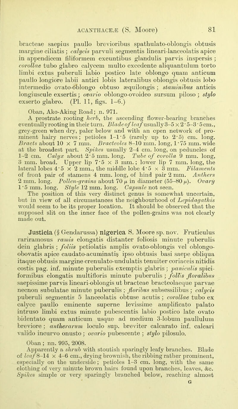 bracteae saepius paullo brevioribus spathulato-oblongis obtusis margine ciliatis; calycis parvuli segmentis lineari-lanceolatis apice in appendicem filiformem exeuntibus glandulis parvis inspersis ; corollae tube glabro calycem multo excedente aliquantulum torto limbi extus puberuli labio postico late oblongo quam anticum paullo longiore labii antici lobis lateralibus oblongis obtusis lobo intermedio ovato-dblongo obtuso sequilongis; staminihus anticis longiuscule exsertis; ovario oblongo-ovoideo sursum piloso ; stylo exserto glabro. (PI. 11, figs. 1-6.) Oban, Ako-Aking Eoad; n. 971. A prostrate rooting herb, the ascending flower-bearing branches eventually rooting in their turn. Bladeof leaf usually 3-5 x 2'5-3'5 cm., grey-green when dry, paler below and with an open network of pro- minent hairy nerves; petioles 1-1 ■ 5 (rarely up to 2 • 5) cm. long. Bracts about 10 x 7 mm. Bracteoles 8-10 mm. long, 1'75 mm. wide at the broadest part. Sjpikes usually 2-4 cm. long, on peduncles of 1-2 cm. Calyx about 2'5 mm. long. Tube of corolla 9 mm. long, 3 mm. broad. Upper lip 7'5 x 3 mm.; lower lip 7 mm. long, the lateral lobes 4• 5 x 2 mm., the middle lobe 4‘5 x 3 mm. Filaments of front pair of stamens 4 mm. long, of hind pair 2 mm. Anthers 2 mm. long. Pollen-grains about 70 g. in diameter (55-80 ju). Ovary 1‘5 mm. long. Style 12 mm. long. Capsule not seen. The position of this very distinct genus is somewhat uncertain, but in view of all circumstances the neighbourhood of Lepidagathis would seem to be its proper location. It should be observed that the supposed slit on the inner face of the pollen-grains was not clearly made out. Justieia (§ Gendarussa) nigerlea S. Moore sp. nov. Fruticulus rariramosus ramis elongatis distanter foliosis minute puberulis dein glabris ; foliis petiolatis amplis ovato-oblongis vel oblongo- obovatis apice caudato-acuminati^ ipso obtusis basi saepe obliqua itaque obtusis margine crenulato-undulatis tenuiter coriaceis nitidis costis pag. inf. minute puberulis exemptis glabris; paniculls spici- formibus elongatis multifloris minute puberulis ; foUis jioralihus saepissime parvis lineari-oblongis ut bracteae bracteolaeque parvae necnon subulatae minute puberulis ; floribus subsessilibus ; calycis puberuli segmentis 5 lanceolatis obtuse acutis ; corollae tubo ex calyce paullo eminente superne levissime amplificato palato intruso limbi extus minute pubescentis labio postico late ovato bidentato quam anticum usque ad medium 3-lobum paullulum breviore; antherarum loculo sup. breviter calcarato inf. calcari valido incurve onusto; ovario pubescente ; stylo pilosulo. Oban ; nn. 995, 2008. Apparently a shrub with stoutish sparingly leafy branches. Blade of Zea/S-14 x 4-6 cm., drying brownish, the ribbing rather prominent, especially on the underside; petioles 1-3 cm. long, with the same clothing of very minute brown hairs found upon branches, leaves, &c. Spikes simple or very sparingly branched below, reaching almost G