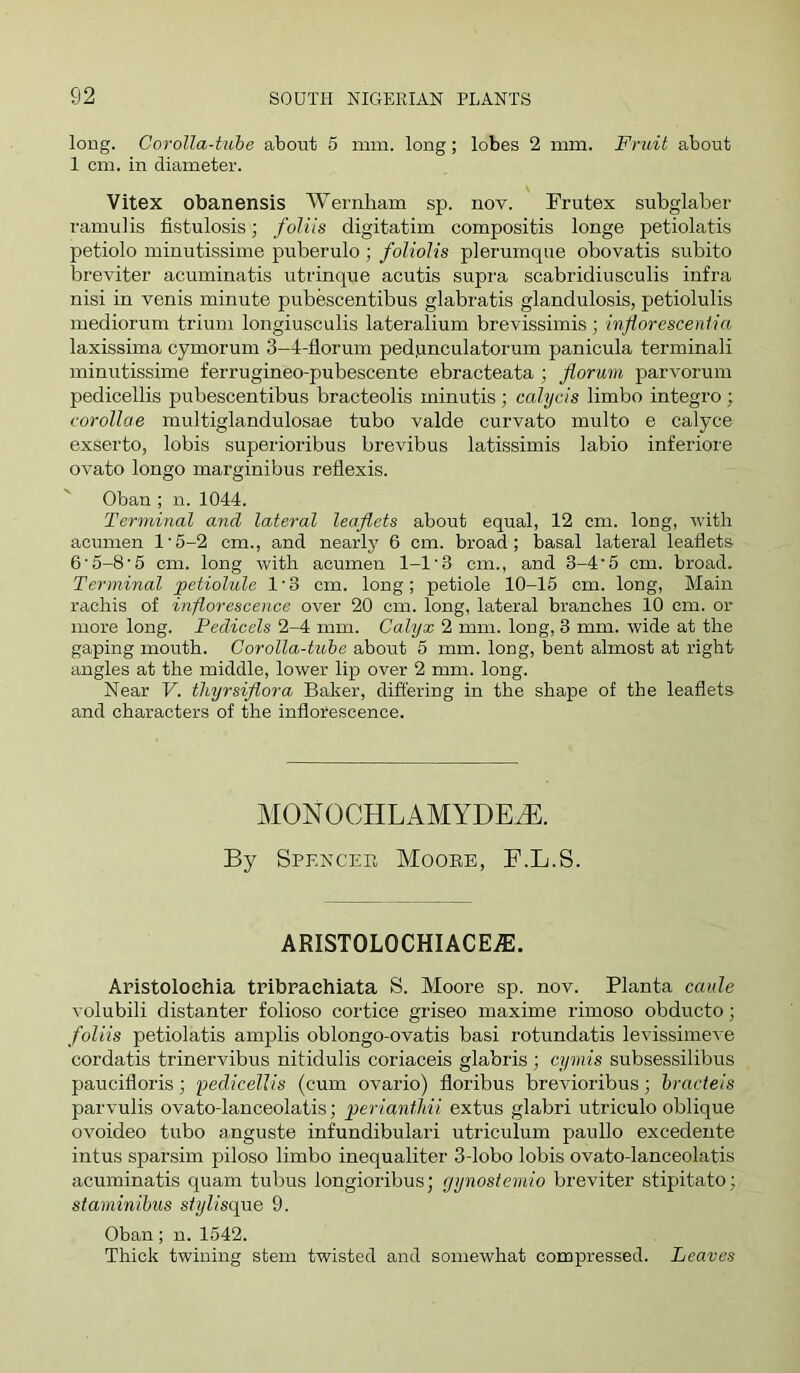 long. Corolla-tube about 5 mm. long; lobes 2 mm. Fruit about 1 cm. in diameter. Vitex obanensis Wernham sp. nov. Frutex subglaber ramulis fistulosis; foliis digitatim compositis longe petiolatis petiolo minutissime puberulo ; foliolis plerumque obovatis subito breviter acuminatis utrinque acutis supra scabridiusculis infra nisi in venis minute pubescentibus glabratis glandulosis, petiolulis mediorum trium longiusculis lateralium brevissimis ; inflorescentia laxissima cymorum 3—4-florum ped.unculatorum panicula terminali minutissime ferrugineo-pubescente ebracteata ; jiorum parvorum pedicellis pubescentibus bracteolis minutis ; cahjcis limbo integro ; corollae multiglandulosae tubo valde curvato multo e calyce exserto, lobis superioribus brevibus latissimis labio inferiore ovato longo marginibus reflexis. Oban ; n. 1044. Terminal and lateral leaflets about equal, 12 cm. long, 'with acumen l'5-2 cm., and nearly 6 cm. broad; basal lateral leaflets 6'5-85 cm. long with acumen 1-1'3 cm., and 3-4’5 cm. broad. Terminal petiolule 1 • 3 cm. long ; petiole 10-15 cm. long. Main rachis of inflorescence over 20 cm. long, lateral branches 10 cm. or more long. Pedicels 2-4 mm. Calyx 2 mm. long, 3 mm. wide at the gaping mouth. Corolla-tube about 5 mm. long, bent almost at right angles at the middle, lower lip over 2 mm. long. Near V. thyrsiflora Baker, differing in the shape of the leaflets and characters of the inflorescence. MONOCHLAMYDEtE. By Spencer Moore, F.L.S. ARISTOLOCHIACE.®. Aristoloehia tribrachiata S. Moore sp. nov. Planta caide volubili distanter folioso cortice griseo maxime rimoso obducto; foliis petiolatis amplis oblongo-ovatis basi rotundatis levissimeve cordatis trinervibus nitidulis coriaceis glabris; cymis subsessilibus paucifloris; pedicellis (cum ovario) floribus brevioribus; hracteis parvulis ovato-lanceolatis; periantliii extus glabri utriculo oblique ovoideo tubo anguste infundibulari utriculum paullo excedente intus sparsim piloso limbo inequaliter 3-lobo lobis ovato-lanceolatis acuminatis quam tubus longioribus; gynostemio breviter stipitato; staminihus siylisque 9. Oban; n. 1542. Thick twining stem twisted and somewhat compressed. Leaves