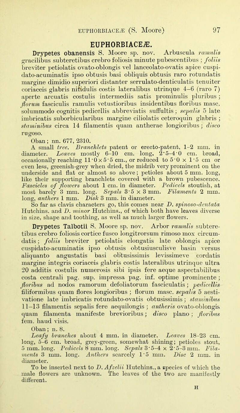 EUPHORBIACE^. Drypetes obanensis S. Moore sp. nov. Arbuscula ramulis gracilibus subteretibus crebro foliosis minute pubescentibus ; foliis breviter petiolatis ovato-oblongis vel lanceolato-ovatis apice cuspi- dato-acuminatis ipso obtusis basi obliquis obtusis raro rotundatis margine dimidio superiori distanter serrulato-denticulatis tenuiter coriaceis glabris ni^dulis costis lateralibus utrinque 4-6 (raro 7) aperte arcuatis costulis intermediis satis prominulis pluribus; florum fasciculis ramulis vetustioribus insidentibus floribus masc. solummodo cognitis pedicellis abbreviatis suffultis; sepalis 5 late imbricatis suborbicularibus margine ciliolatis ceteroquin glabris ; staminihus circa 14 filamentis quam antherae longioribus; disco rugoso. Oban; nn. 677, 2310. A small tree. Branchlets patent or erecto-patent, 1-2 mm. in diameter. Leaves mostly 6-10 cm. long, 2‘5-4'0 cm. broad, occasionally reaching ll‘0x5‘5 cm., or reduced to 5‘0 x 1'5 cm or even less, greenish-grey when dried, the midrib very prominent on the underside and flat or almost so above; petioles about 5 mm. long, like their supporting branchlets covered with a brown pubescence. Fascicles of floivers about 1 cm. in diameter. Pedicels stoutish, at most barely 3 mm. long. Sepals 3'5 X 3 mm. Filaments 2 mm. long, anthers 1 mm. Dish 3 mm. in diameter. So far as clavis characters go, this comes near D. spinoso-dentata Hutchins, and D. minor Hutchins., of which both have leaves diverse in size, shape and toothing, as well as much larger flowers. Drypetes Talbotii S. Moore sp. nov. Arbor ramulis subtere- tibus crebro foliosis cortice fusco longitrorsum rimoso mox circum- datis; foliis breviter petiolatis elongatis late oblongis apice cuspidato-acuminatis ipso obtusis obtusiusculisve basin versus aliquanto angustatis basi ob'tusissimis levissimeve cordatis margine integris coriaceis glabris costis lateralibus utrinque ultra 20 additis costulis numerosis sibi ipsis fere aeque aspectabilibus costa centrali pag. sup. impressa pag. inf. optime prominente; floribus ad nodes ramorum defoliatorum fasciculatis; pedicellis filiformibus quam flores longioribus ; florum masc. sepalis 5 aesti- vatione late imbricatis rotundato-ovatis obtusissimis; staminihus 11-13 filamentis sepalis fere aequilongis ; nm</ter/s ovato-oblongis quam filamenta manifesto brevioribus; disco piano; floribus fern, baud visis. Oban; n. 8. Leafy branches about 4 mm. in diameter. Leaves 18-23 cm. long, 5-6 cm. broad, grey-green, somewhat shining; petioles stout, 5 mm. long. Pedicels 8 mm. long. Sepals 3'5-4 x 2'5-3 mm. Fila- ments 3 mm. long. Anthers scarcely 1'5 mm. Disc 2 mm. in diameter. To be inserted next to D. Afzelii Hutchins., a species of which the male flowers are unknown. The leaves of the two are manifestly different. H