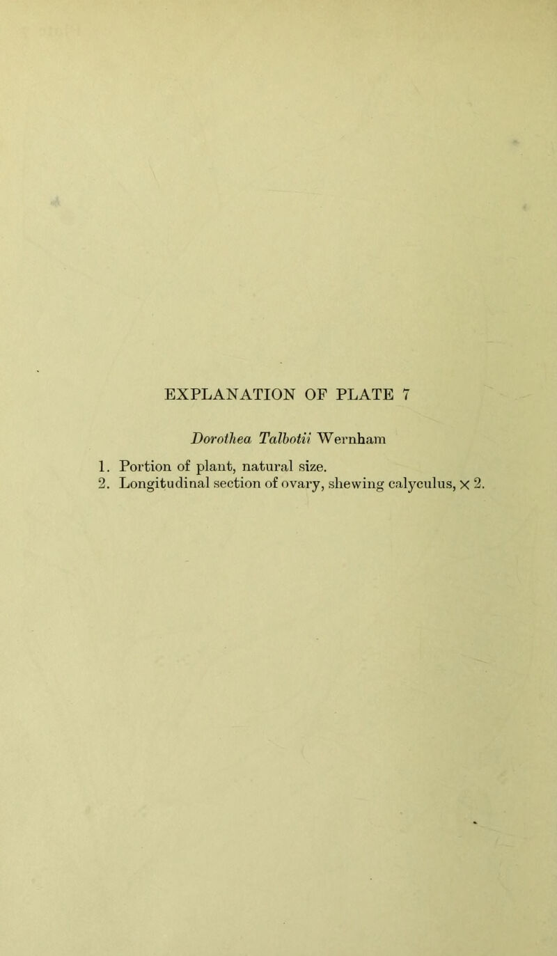 Dorothea Talbotii Wernham 1. Portion of plant, natural size. 2. Longitudinal .section of ovary, shewing calyculus, X