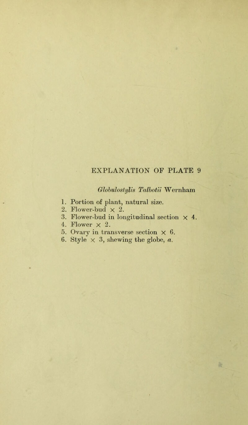 Olohuloslylis Talhotn Wernham 1. Portion of plant, natural size. 2. Flower-bud x 2. 3. Flower-bud in longitudinal section x 4. 4. Flower x 2. 5. Ovary in transverse section x 6.