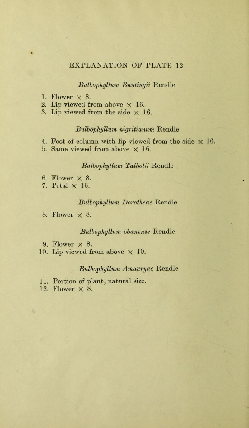 Bulbophyllum Buntingii Renclle 1. Flower x 8. 2. Lip viewed from above X 16. 3. Lip Adewed from the side X 16. Bulbophyllum nigritianum Rendle 4. Foot of column with lip viewed from the side X 5. Same viewed from above X 16. Bulbophyllum Talbotii Rendle 6. Flower x 8. 7. Petal X 16. Bulbophyllum Dorotheae Rendle 8. Flower X 8. Bulbophyllum obanense Rendle 9. Flower X 8. 10. Lip viewed from above x 10. Bulbophyllum Amauryae Rendle 11. Portion of plant, natural .size. 12. Flower X 8.
