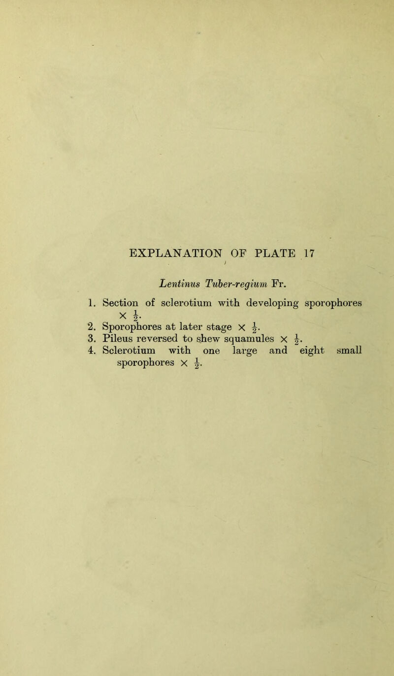 Lentinus Tuber-regium Fr. 1. Section of sclerotium with developing sporophores X h 2. Sporophores at later stage X 3. Pileus reversed to shew squamules X 4. Sclerotium with one large and eight small sporophores x